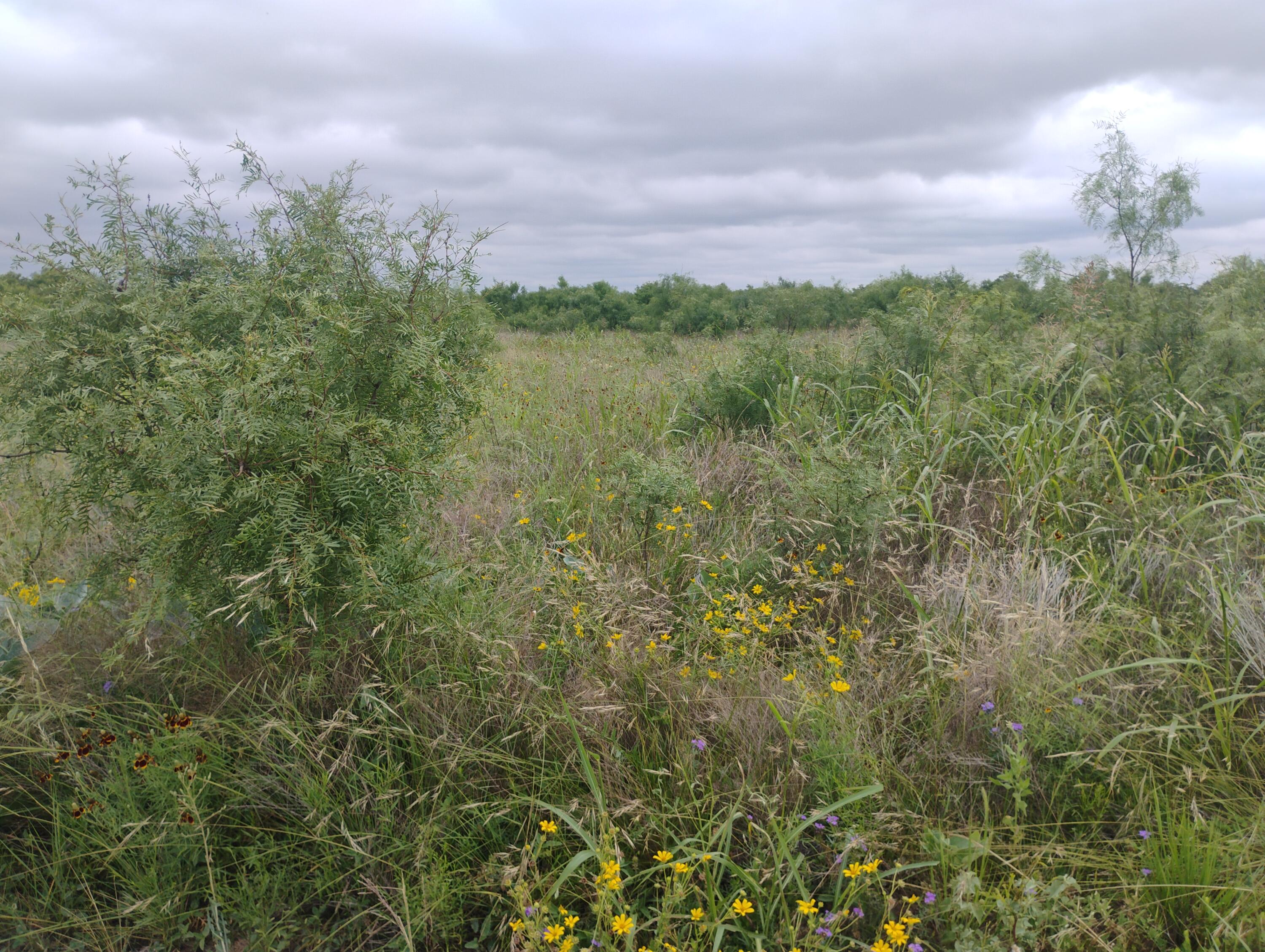 0 N Highway 87 Us Highway Property Photo 3