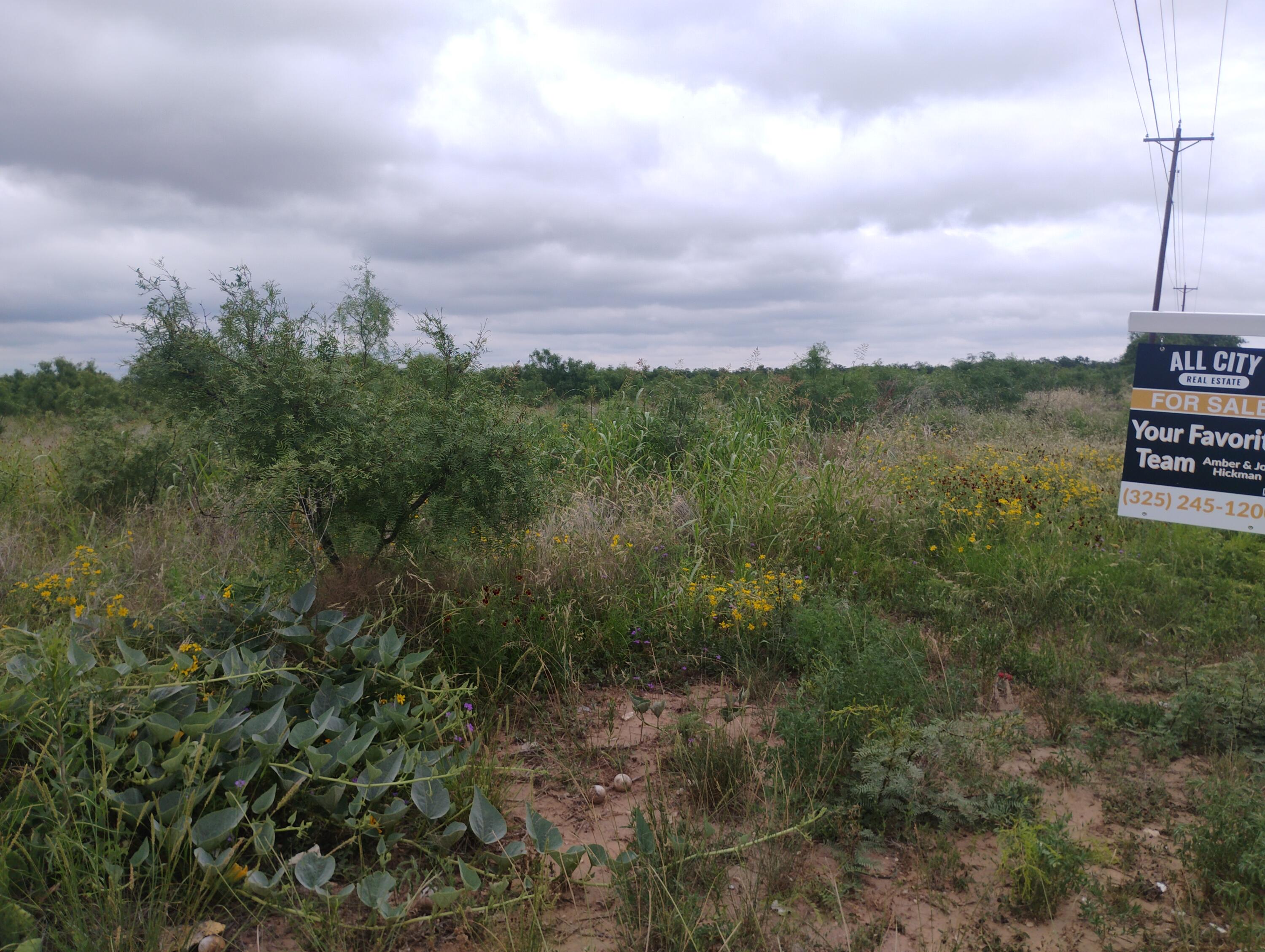 0 N Highway 87 Us Highway Property Photo 6