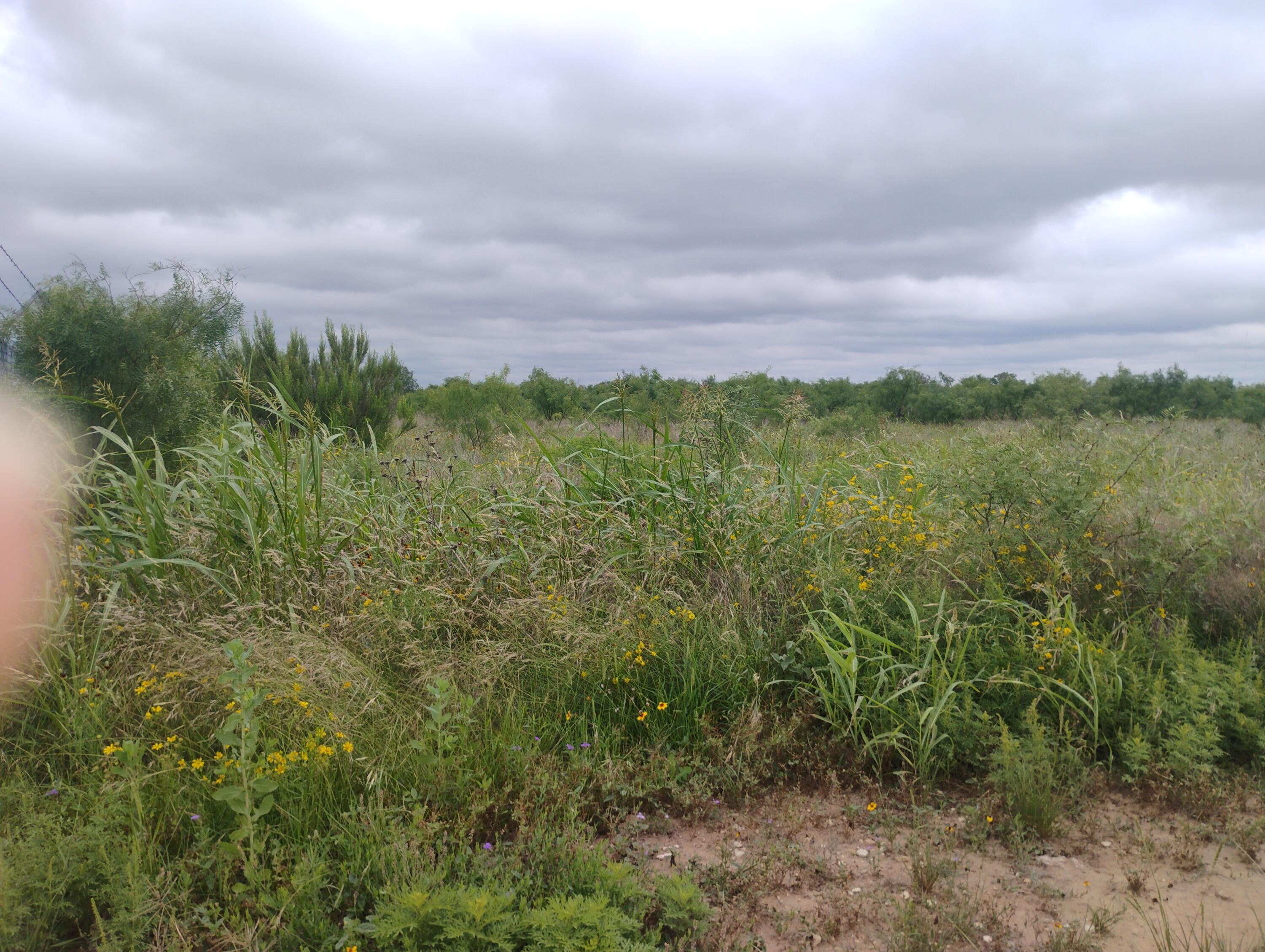 0 N Highway 87 Us Highway Property Photo 7