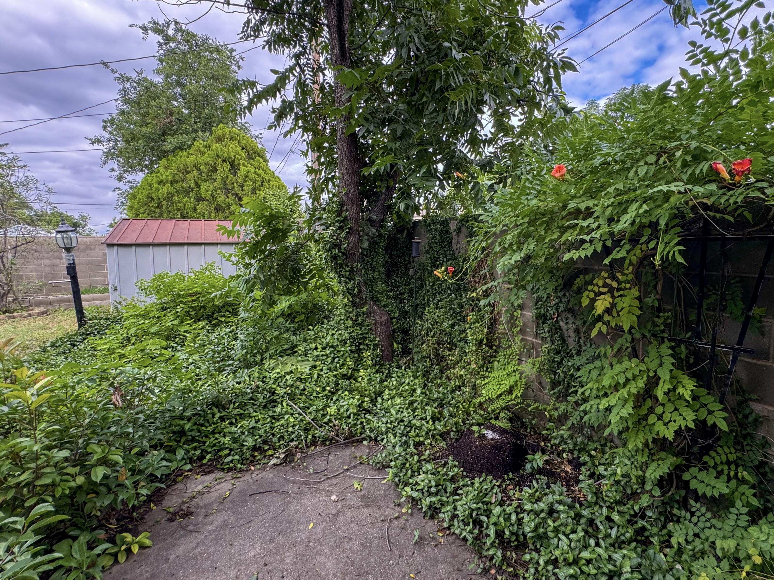 2307 W Twohig Avenue Property Photo 32