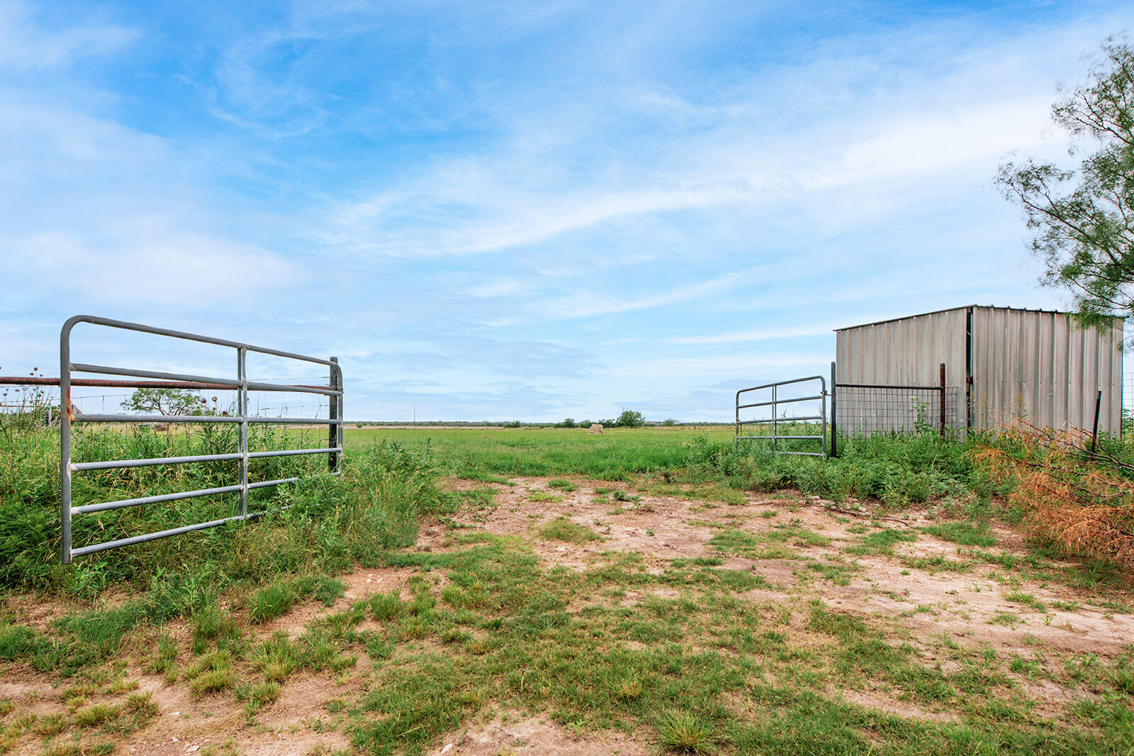 5234 N U.s Hwy 87 Property Photo 10