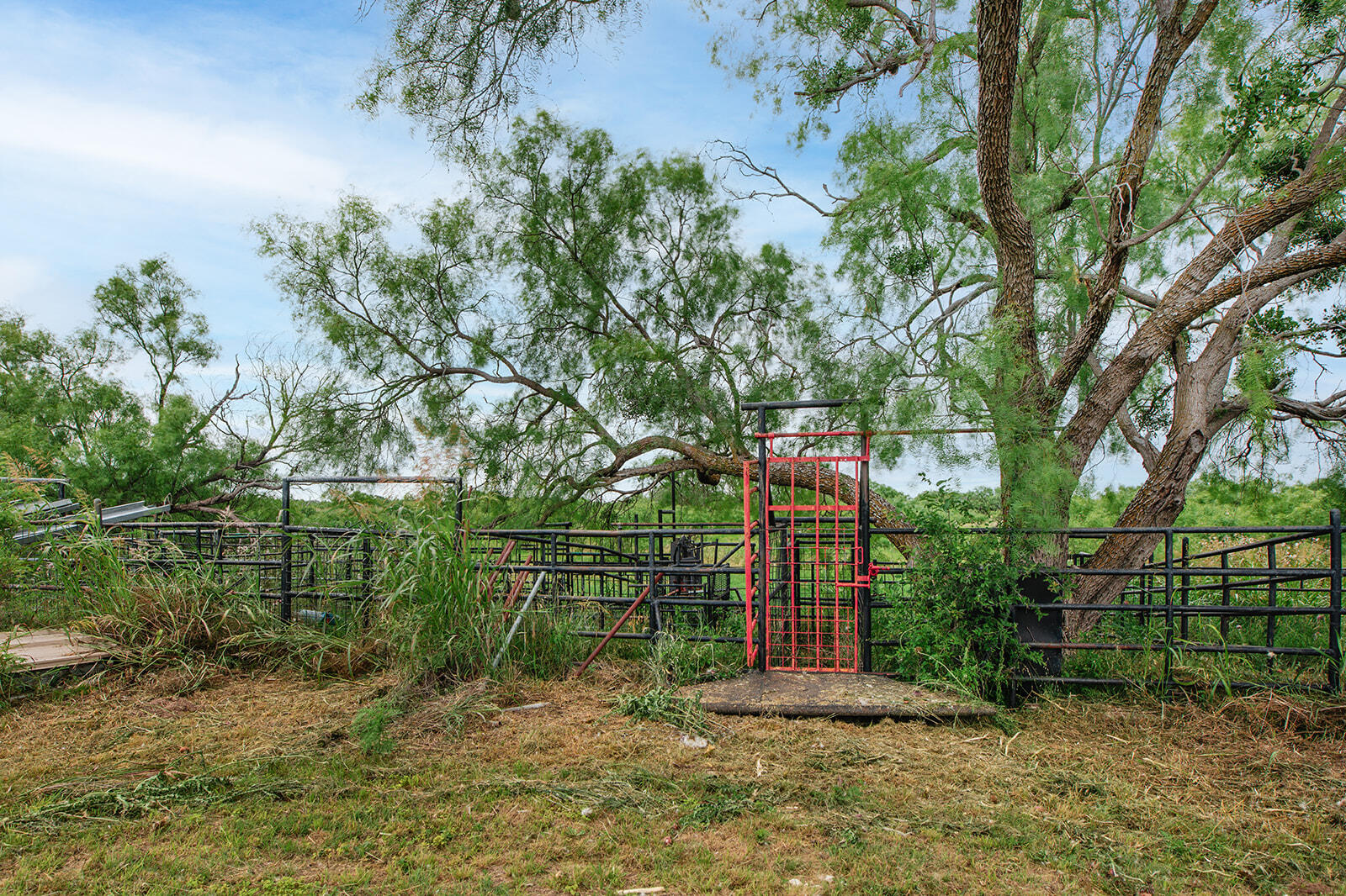 5234 N U.s Hwy 87 Property Photo 15