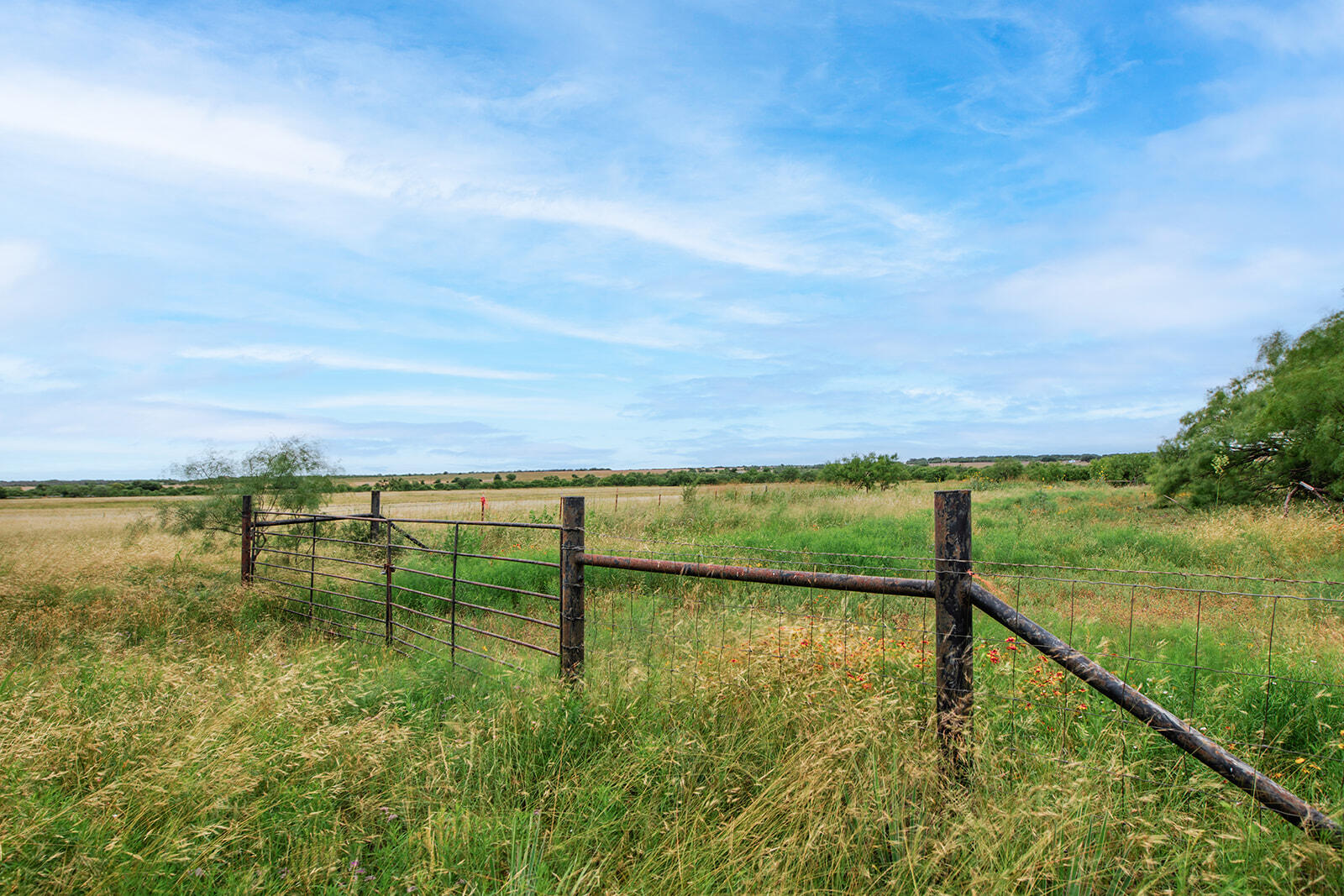 5234 N U.s Hwy 87 Property Photo 25