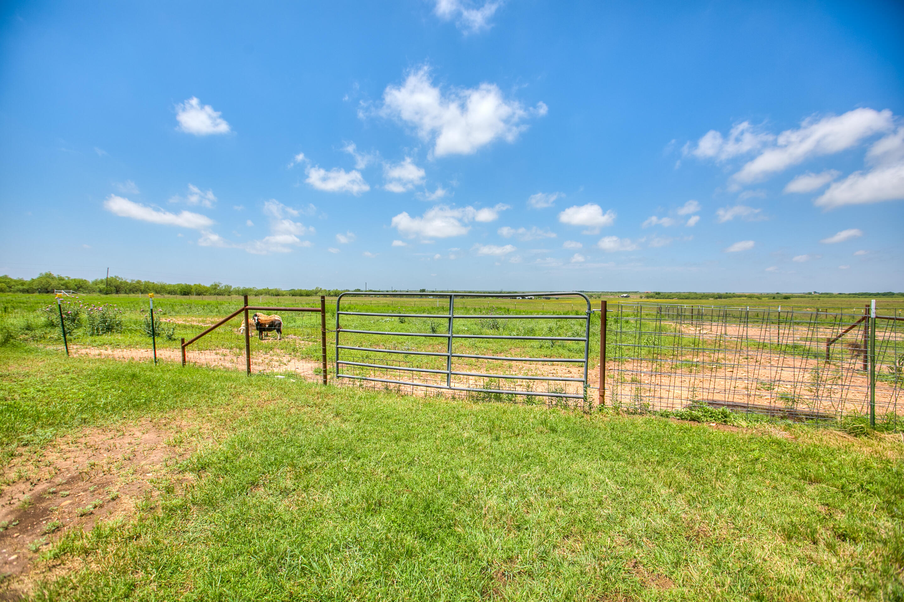2602 Fm2111 Property Photo 12
