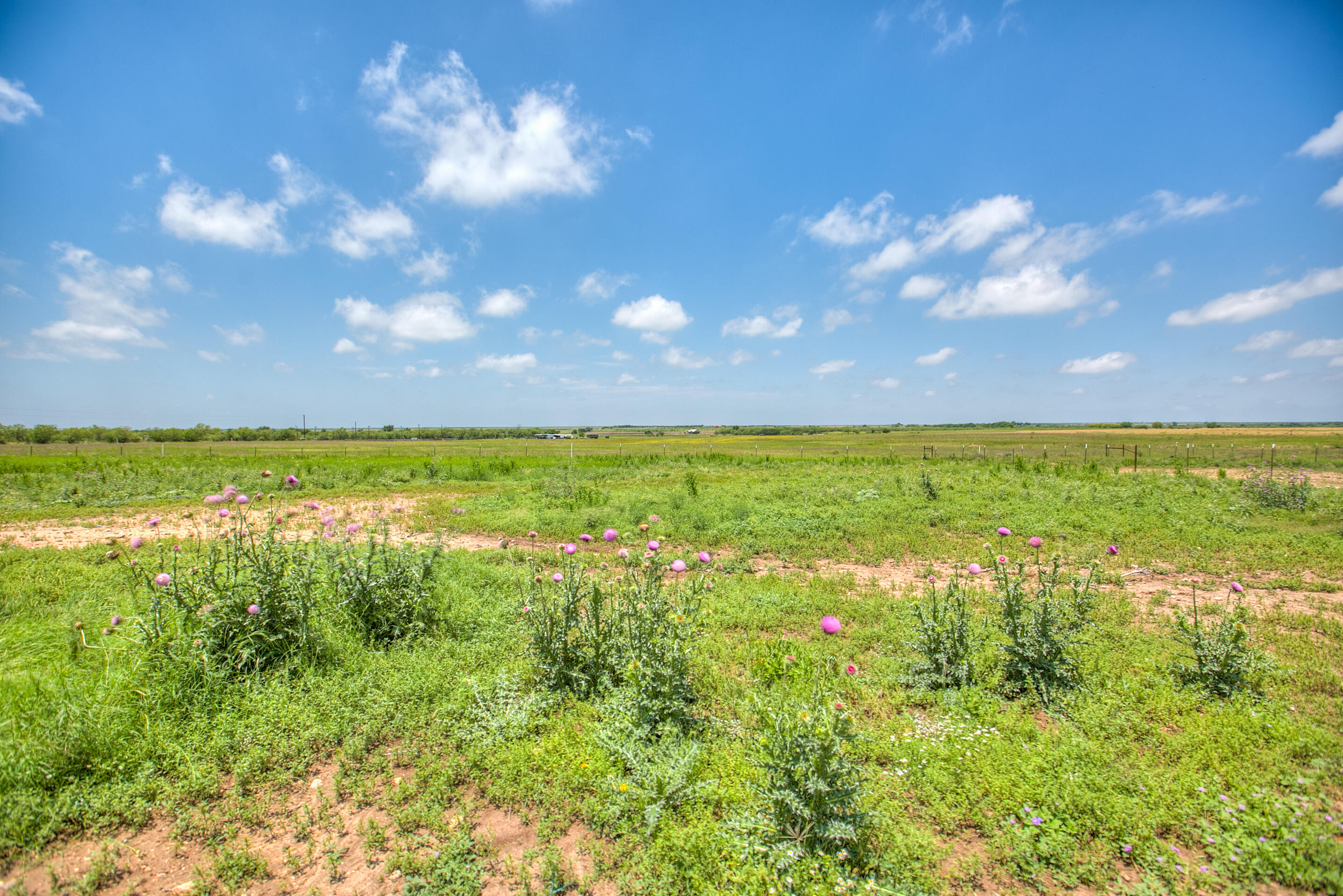 2602 Fm2111 Property Photo 13