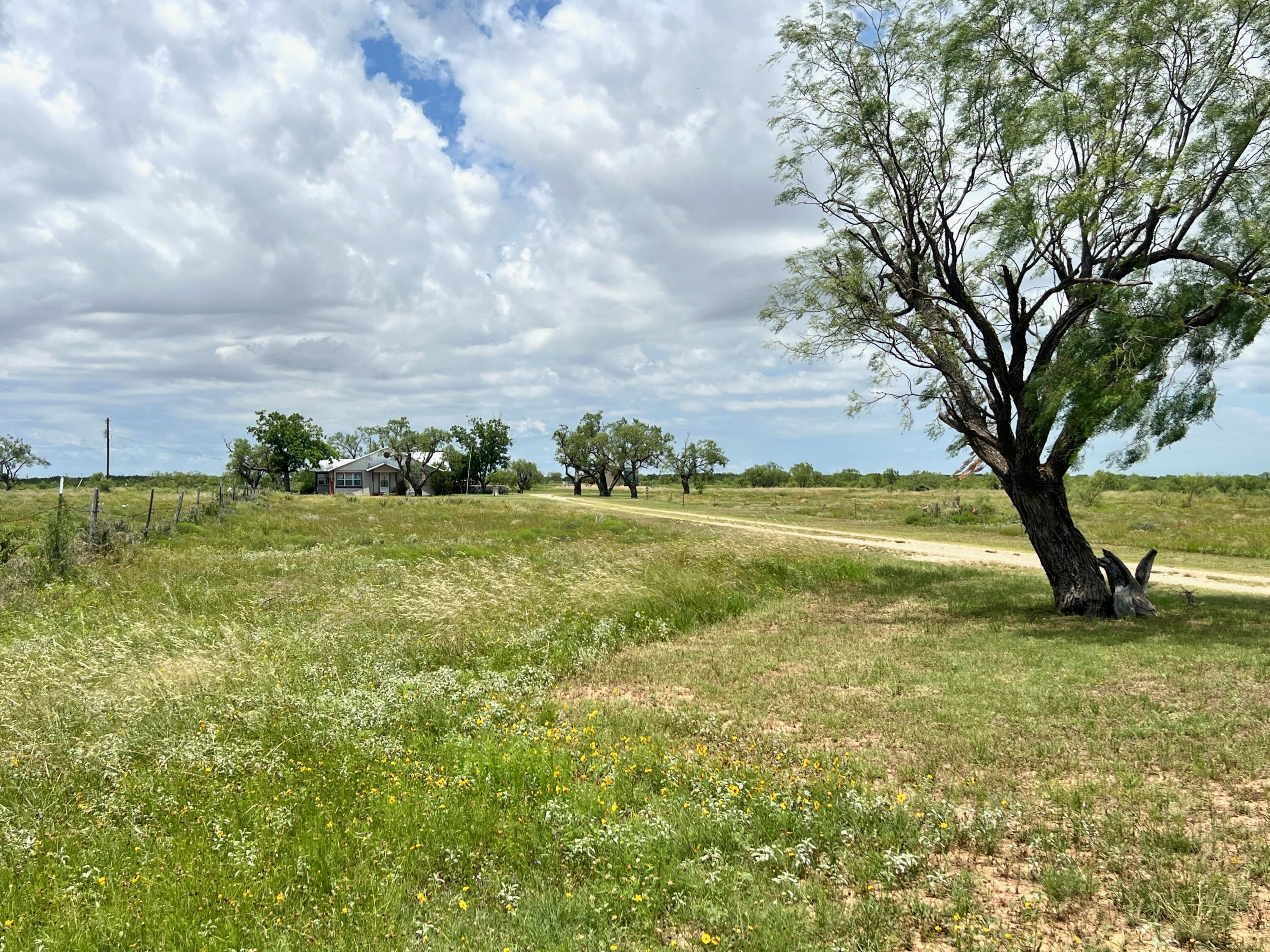 1818 Co Rd 267 Property Photo 6