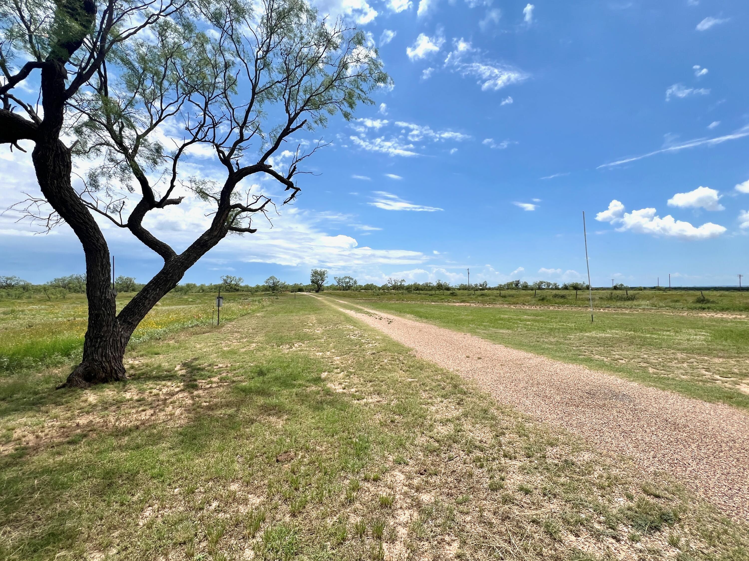 1818 Co Rd 267 Property Photo 7