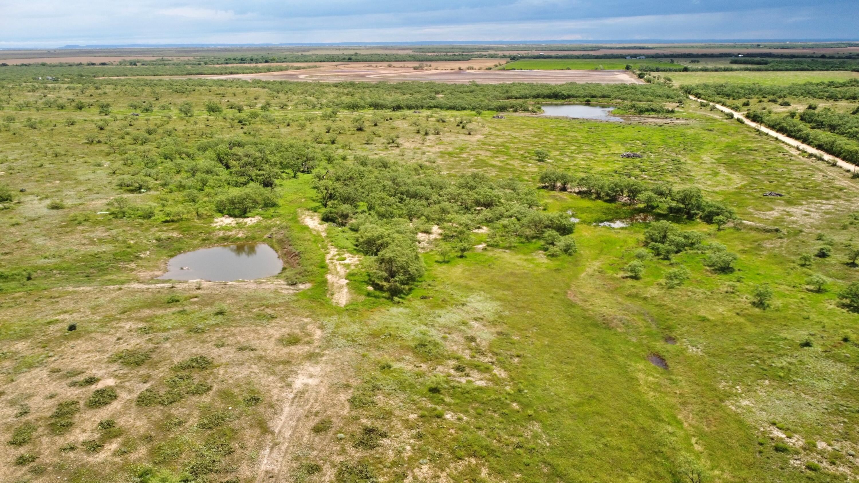 1818 Co Rd 267 Property Photo 14