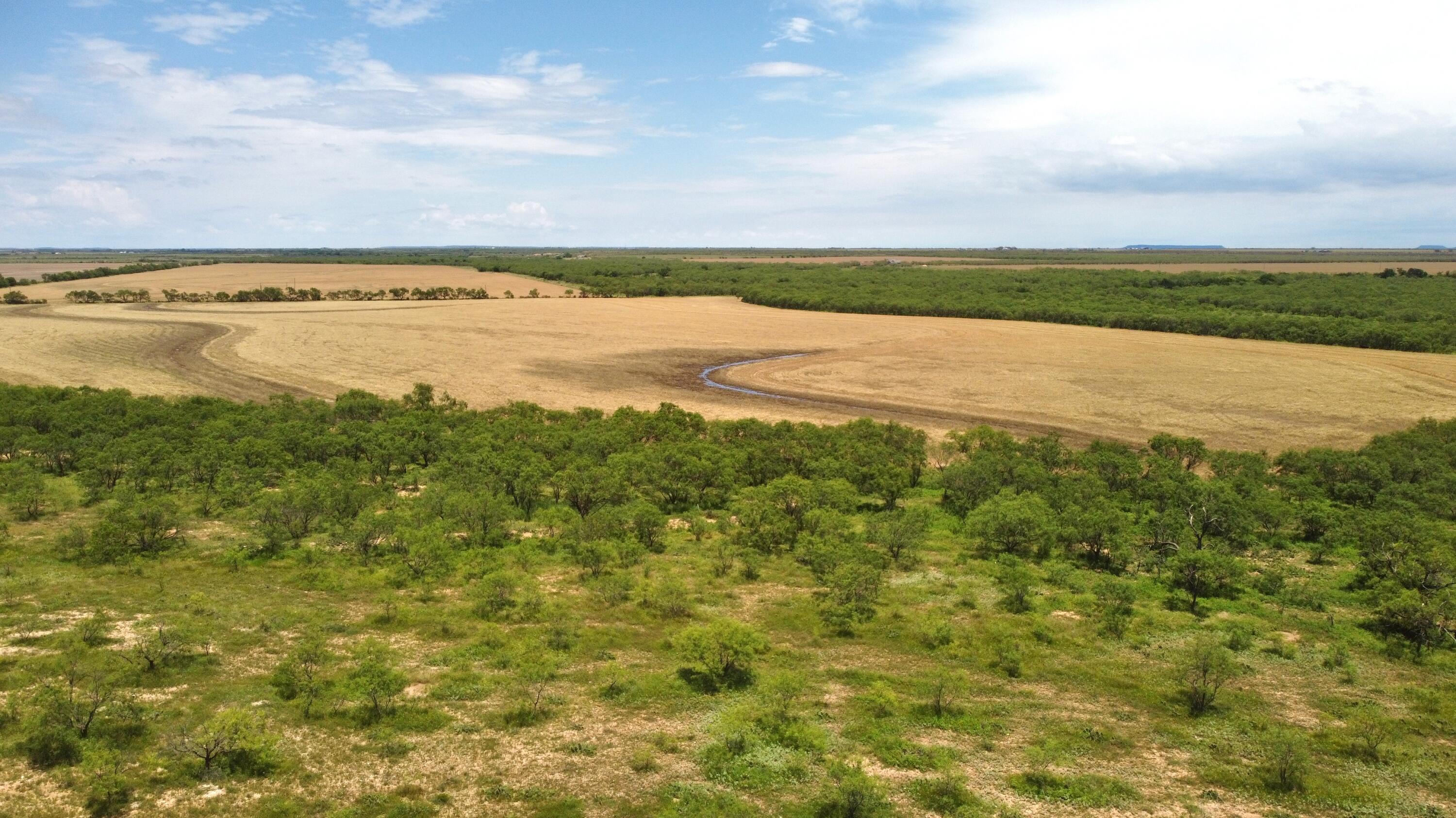1818 Co Rd 267 Property Photo 23