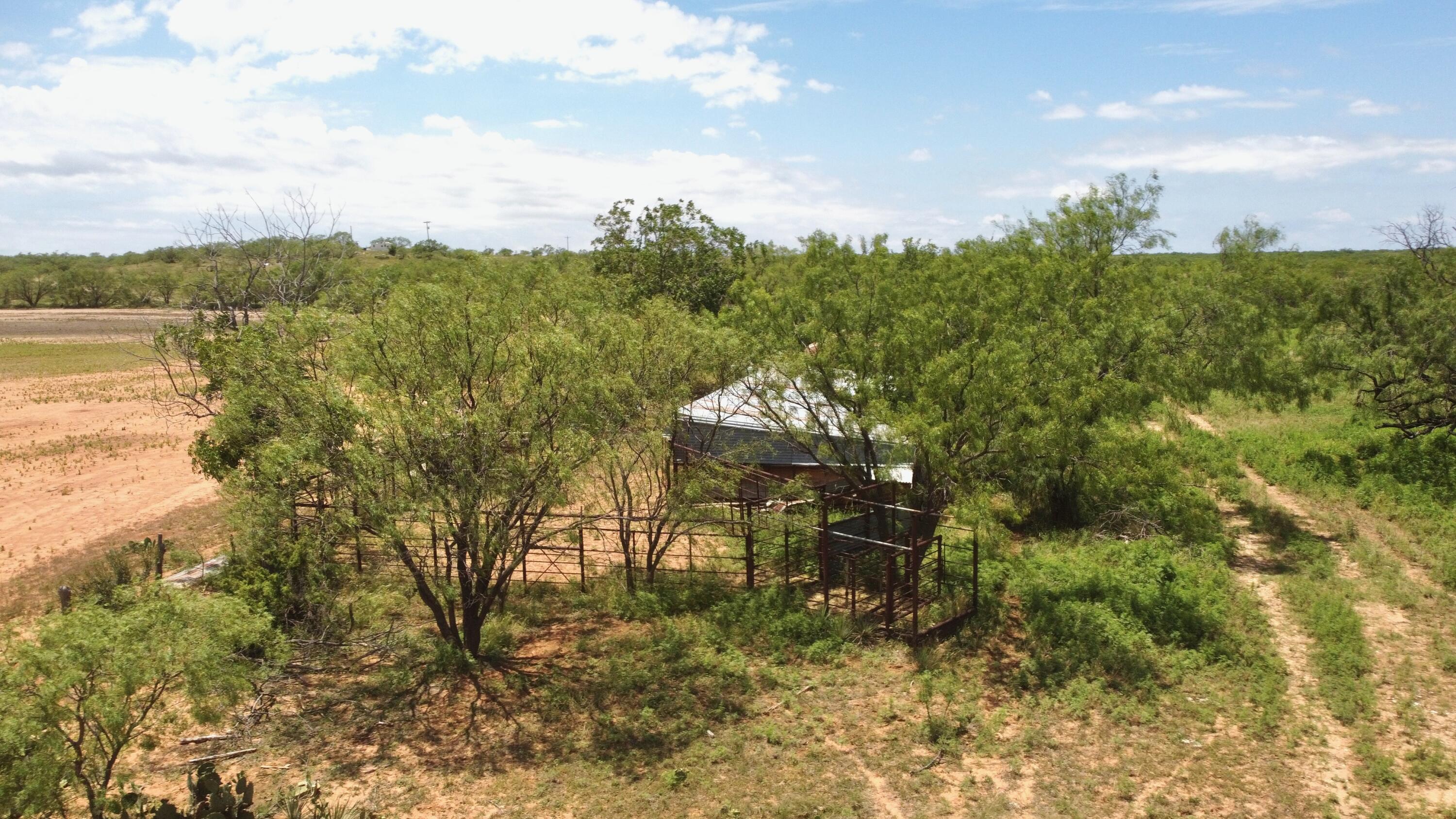 1818 Co Rd 267 Property Photo 27