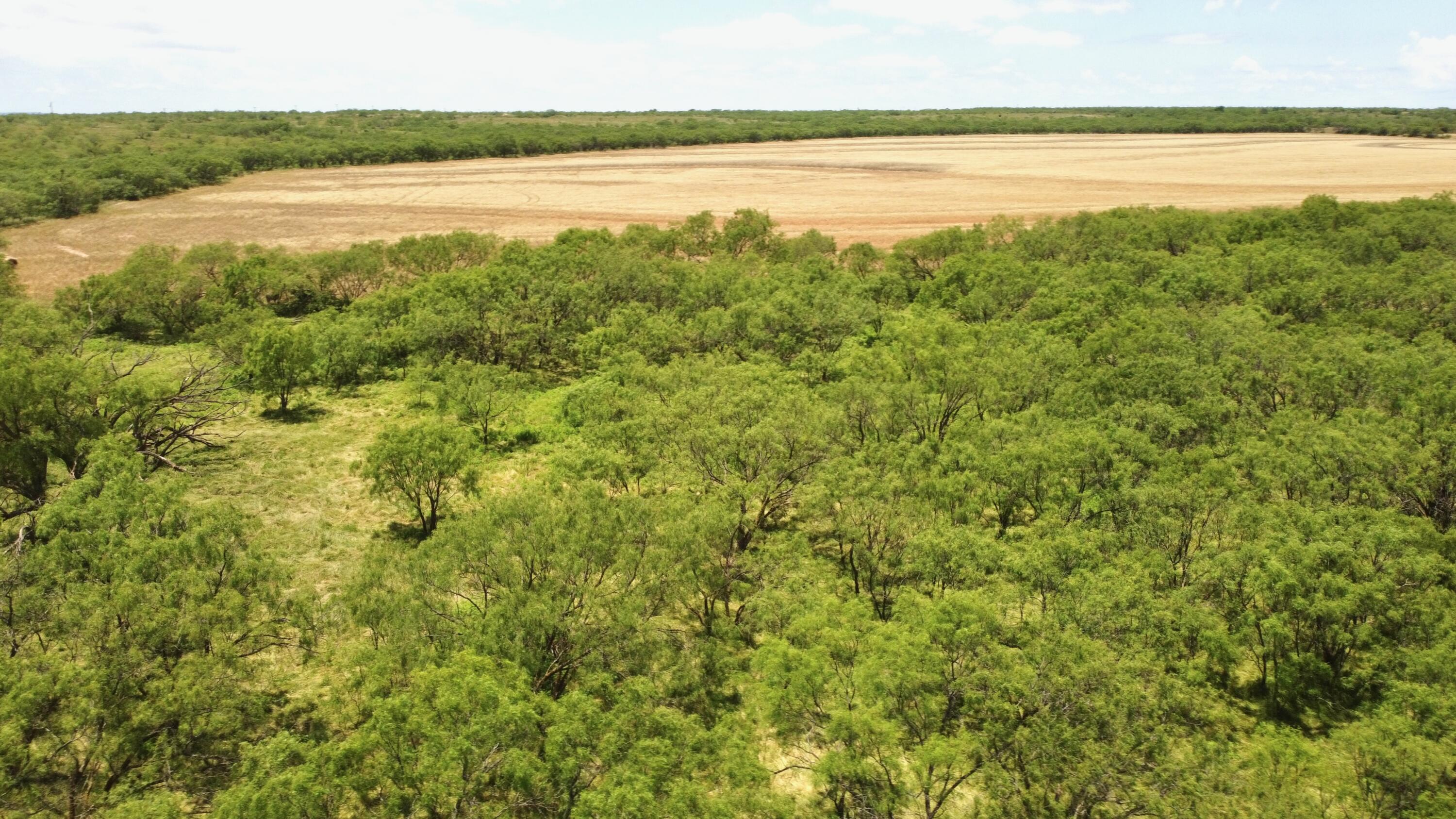 1818 Co Rd 267 Property Photo 30