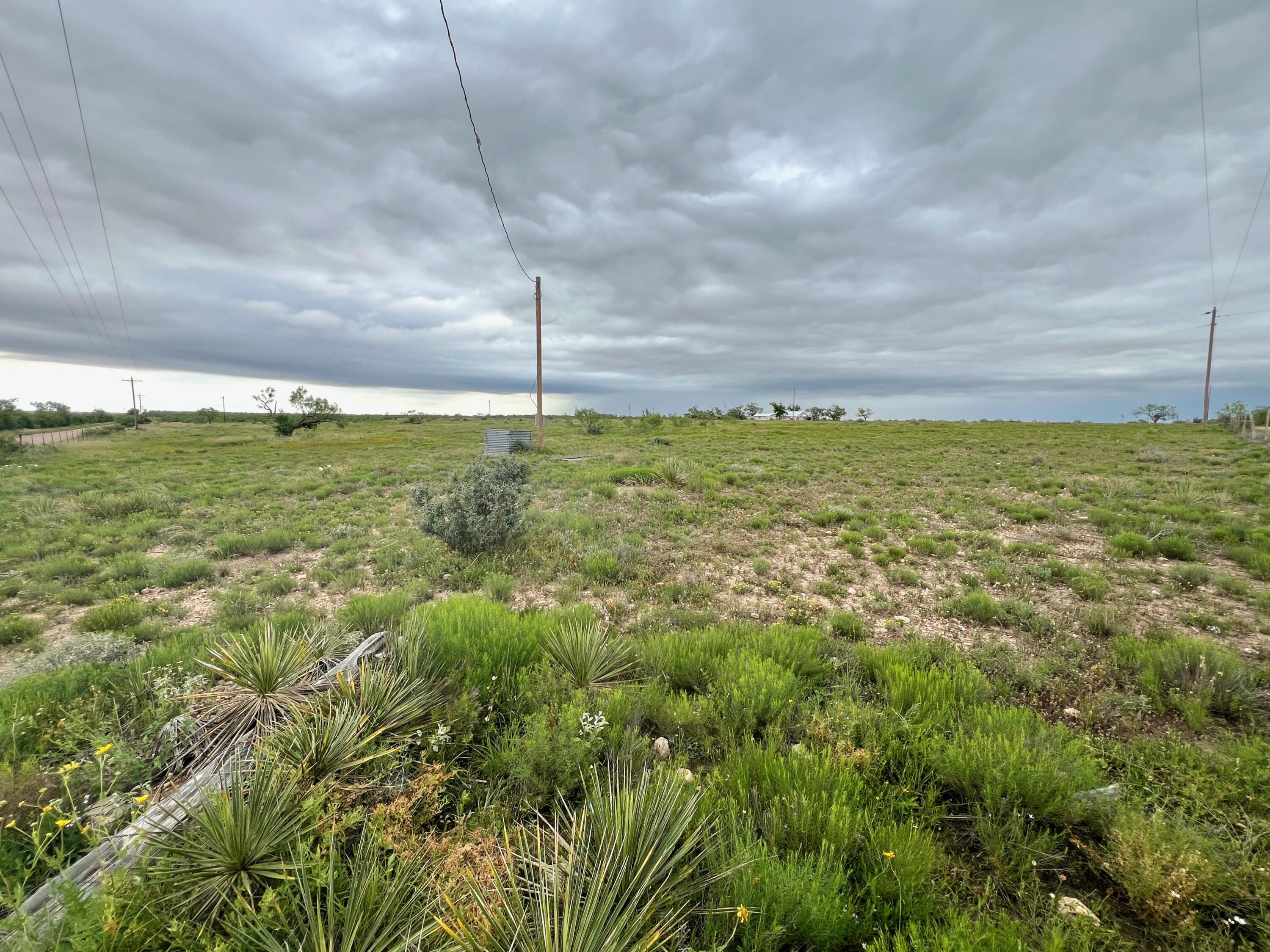 1818 Co Rd 267 Property Photo 33