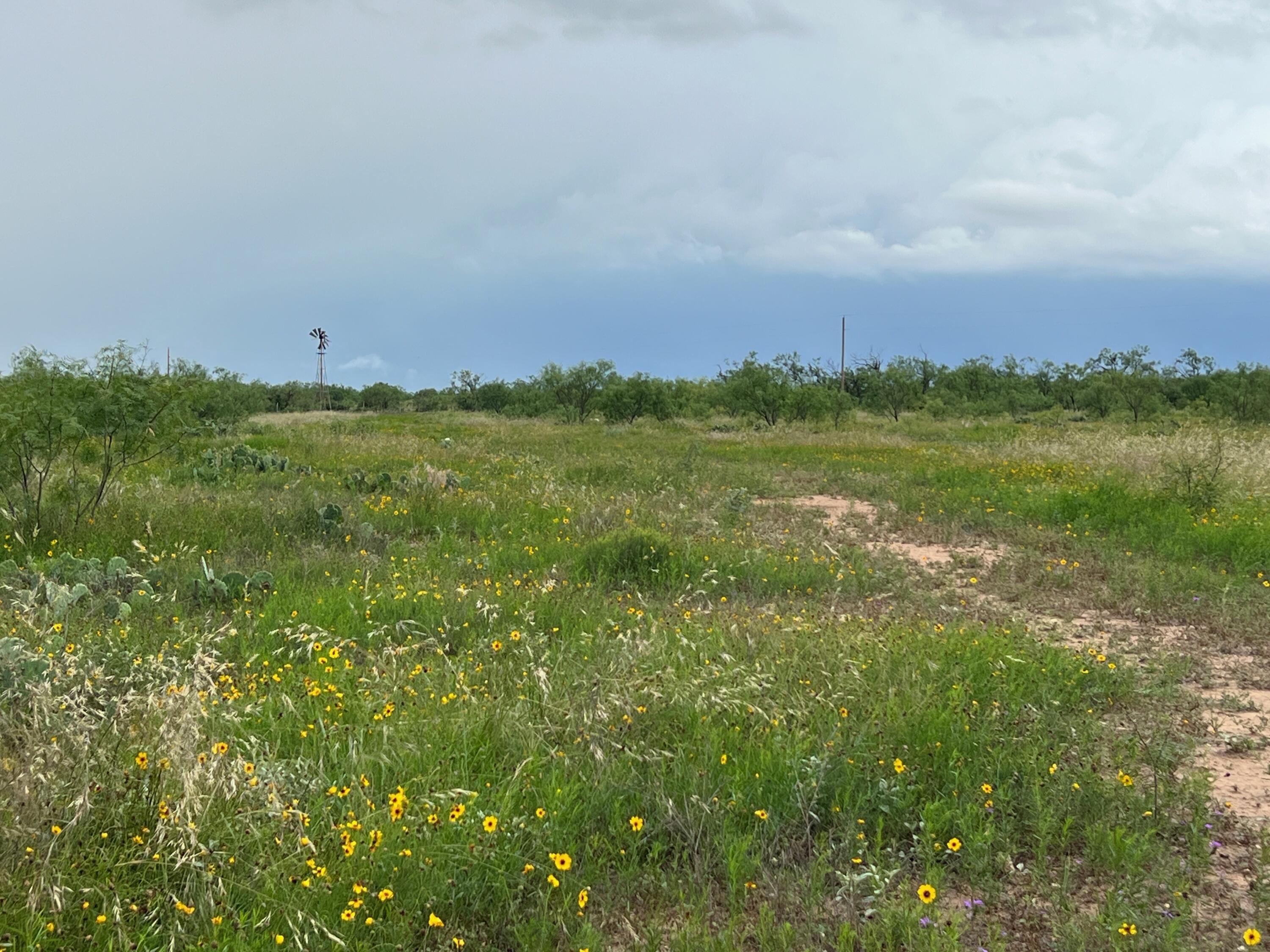 1818 Co Rd 267 Property Photo 35