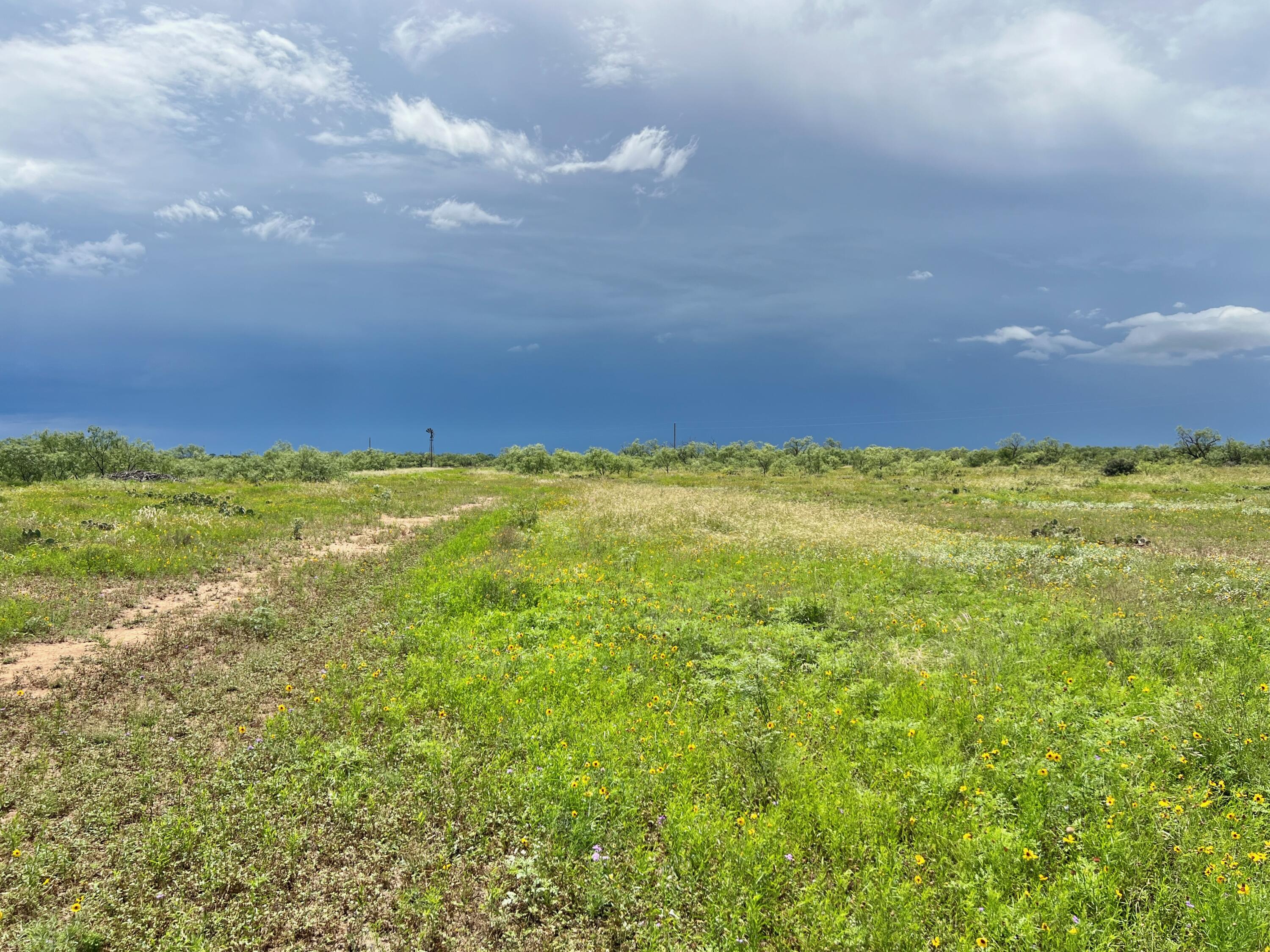 1818 Co Rd 267 Property Photo 53