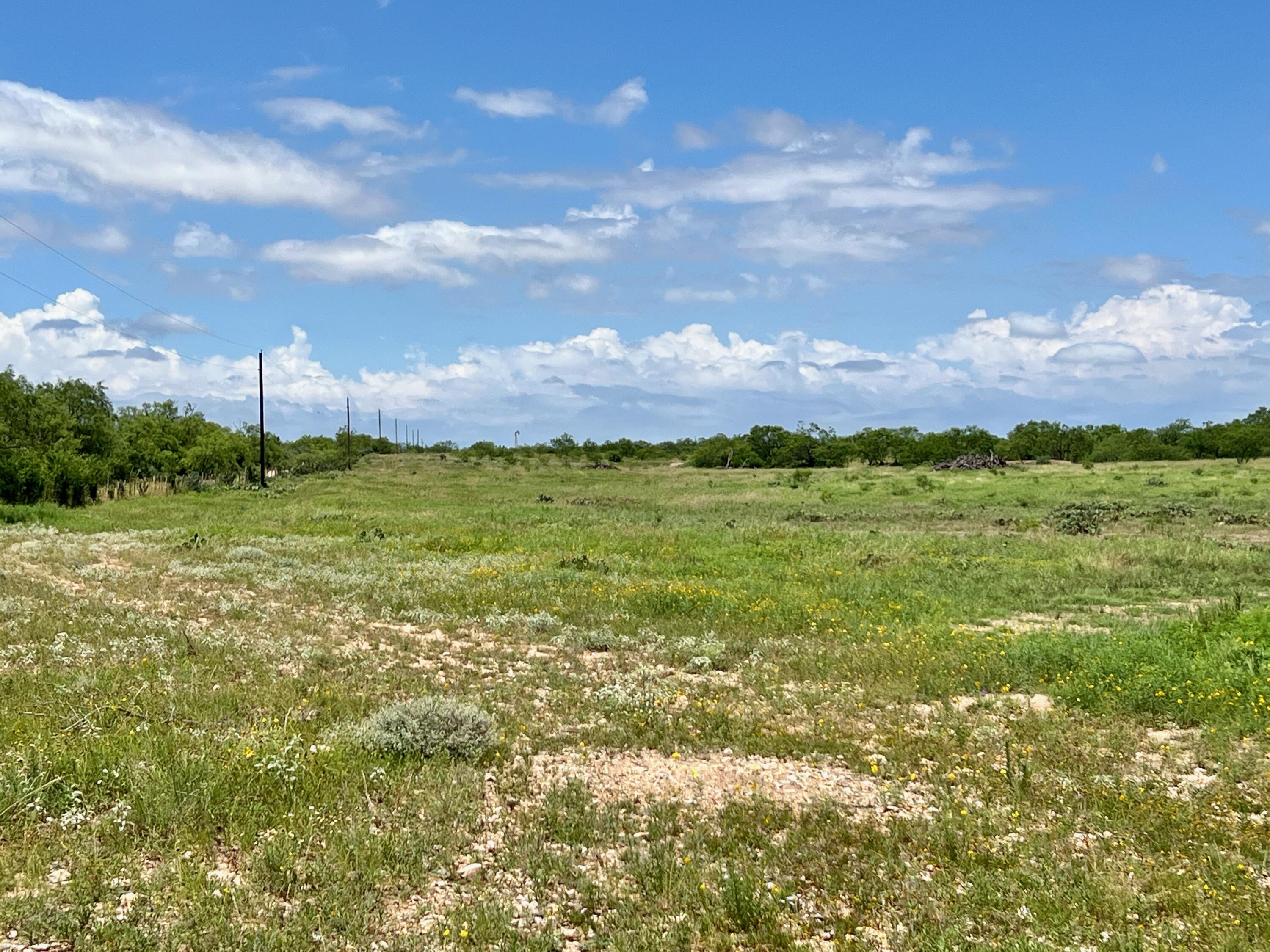1818 Co Rd 267 Property Photo 56