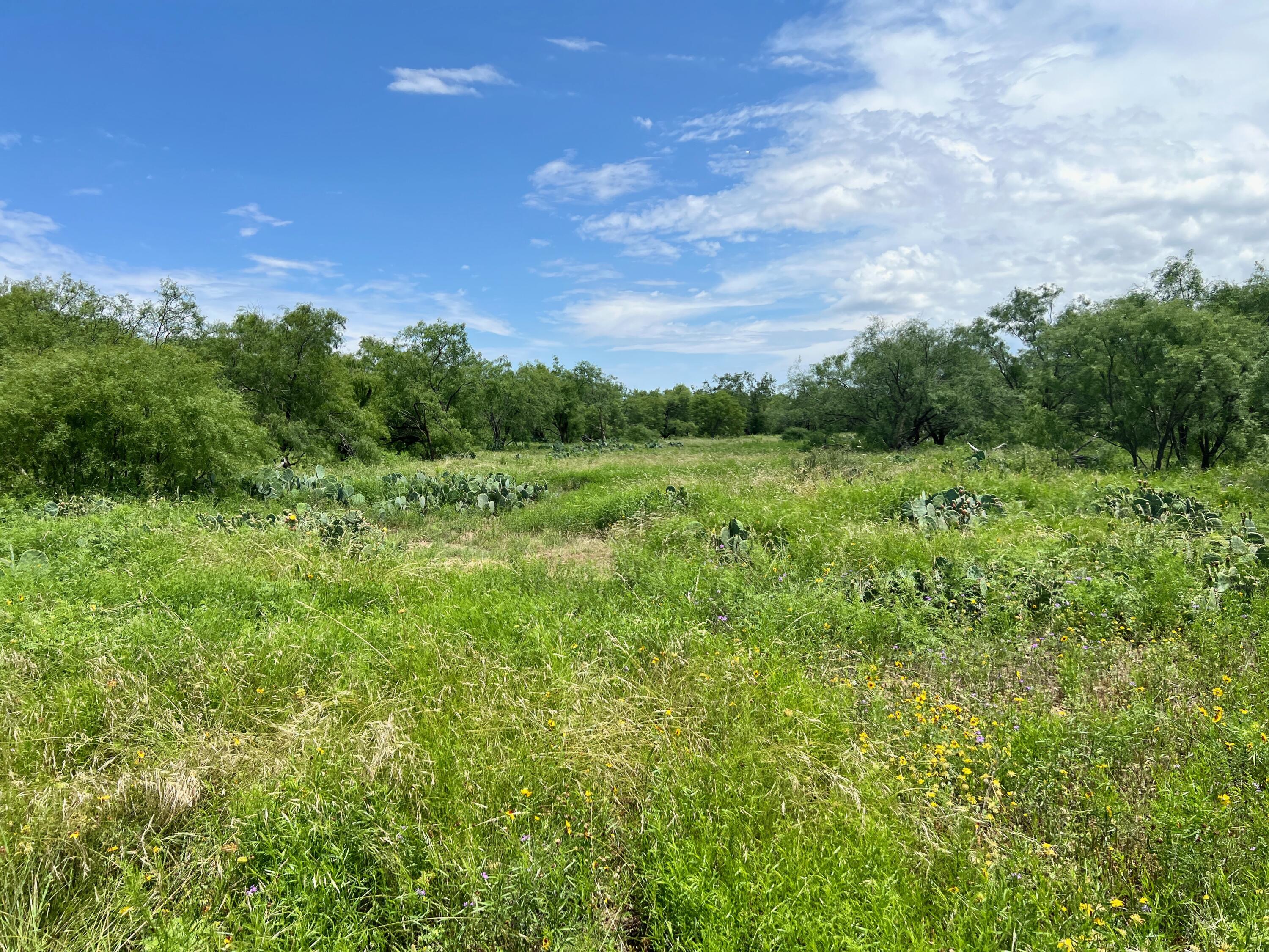 1818 Co Rd 267 Property Photo 57