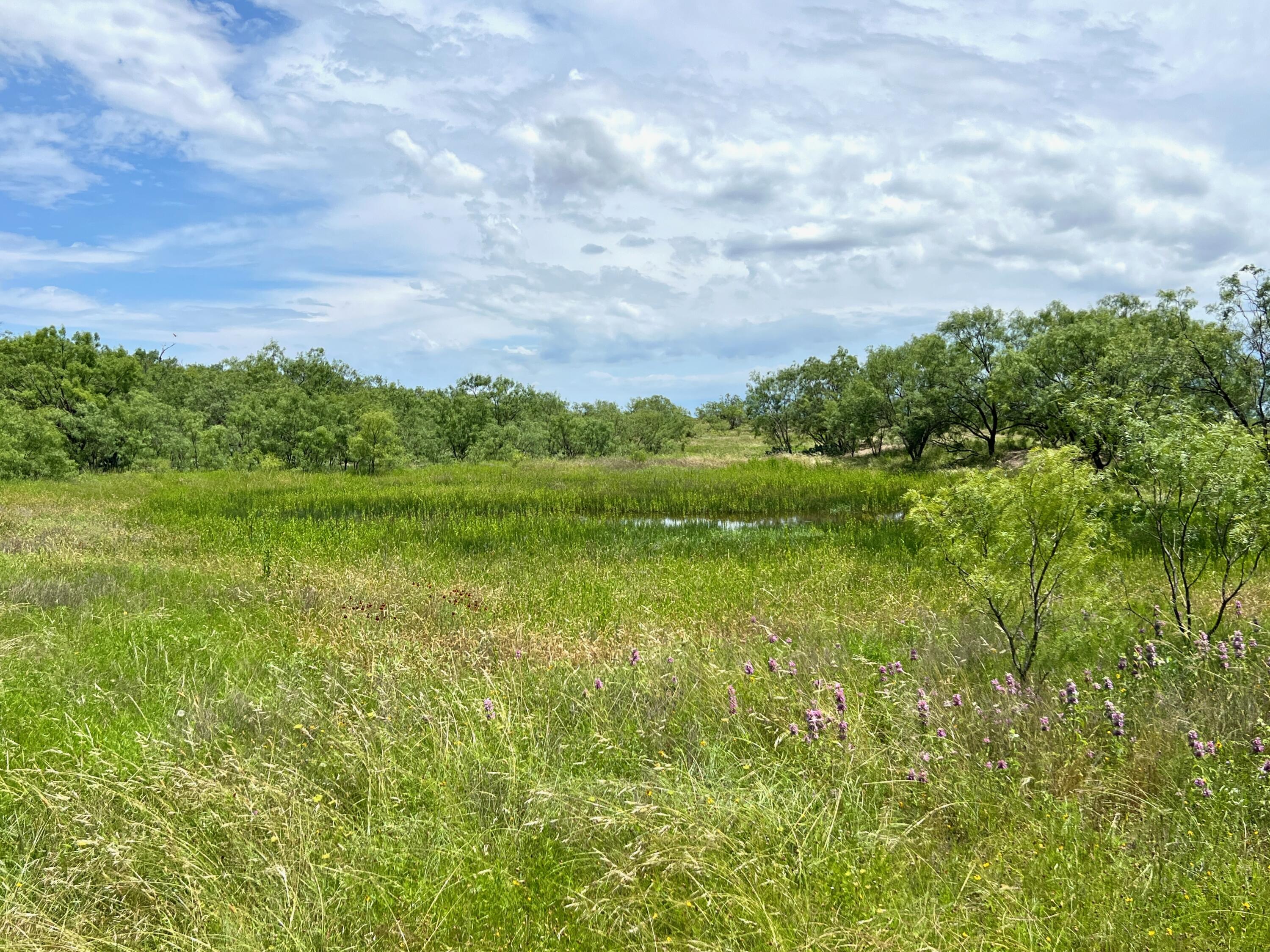 1818 Co Rd 267 Property Photo 59