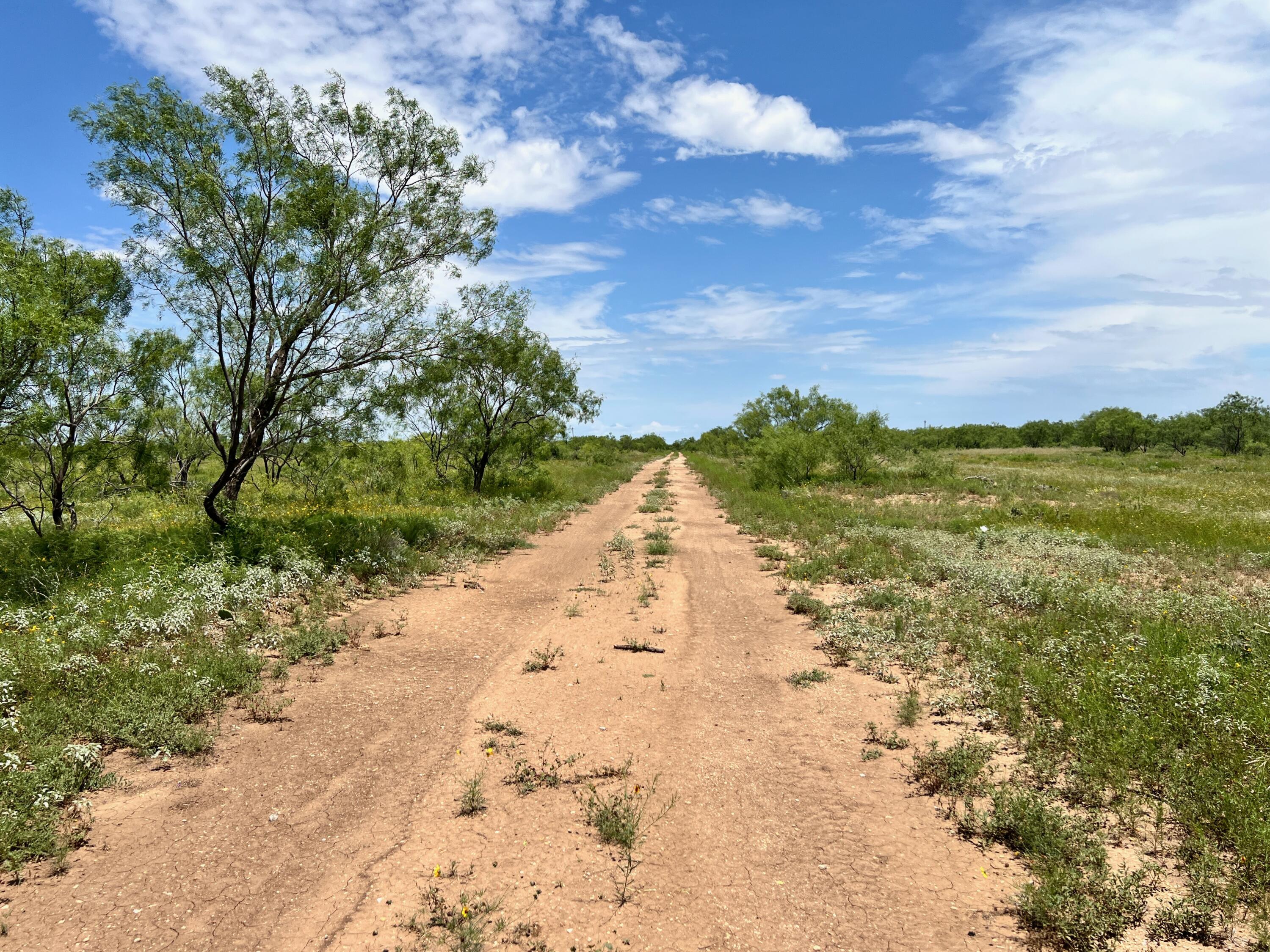 1818 Co Rd 267 Property Photo 61