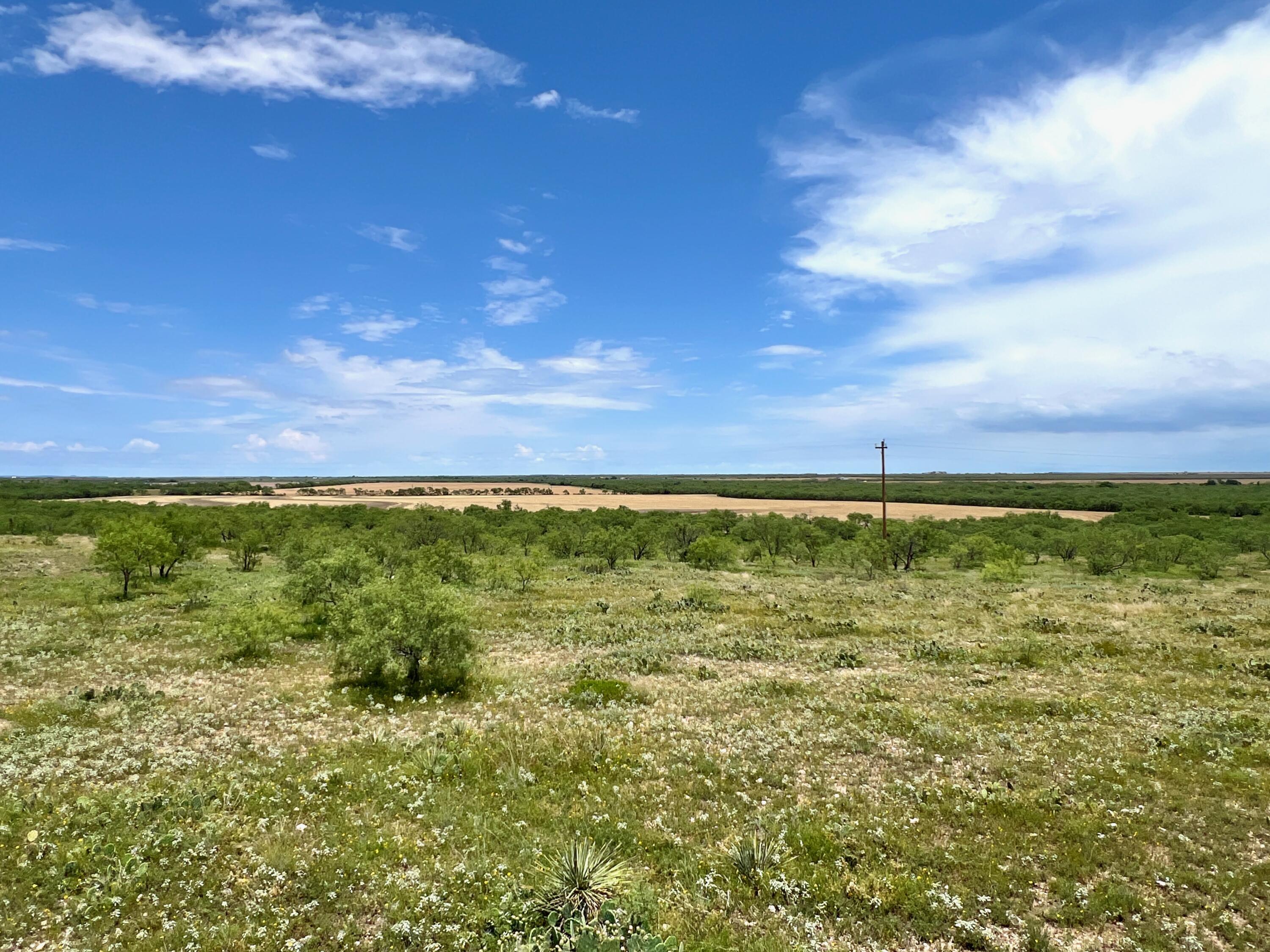 1818 Co Rd 267 Property Photo 63