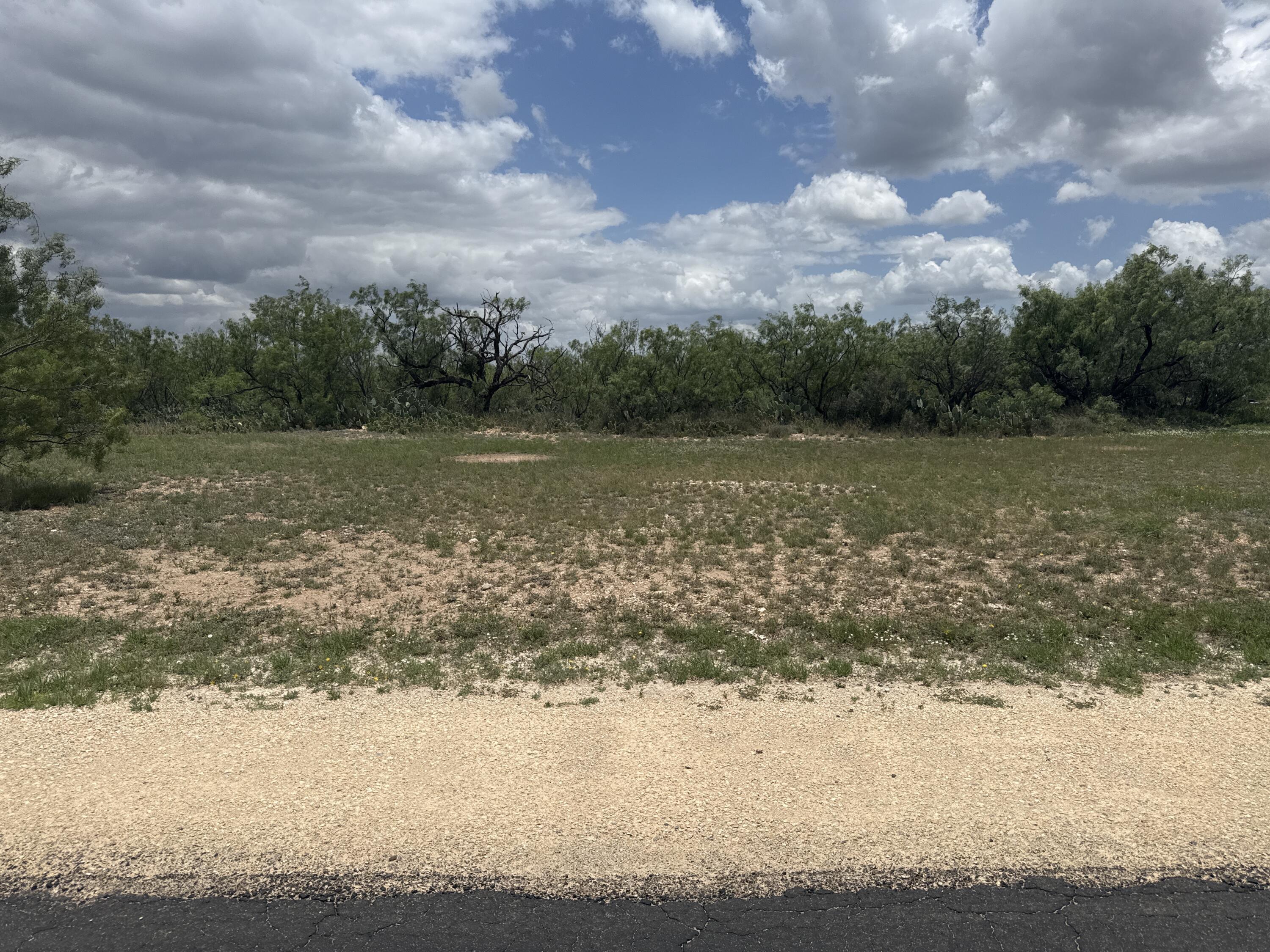 8226 Ducote Air Park Road Property Photo 2