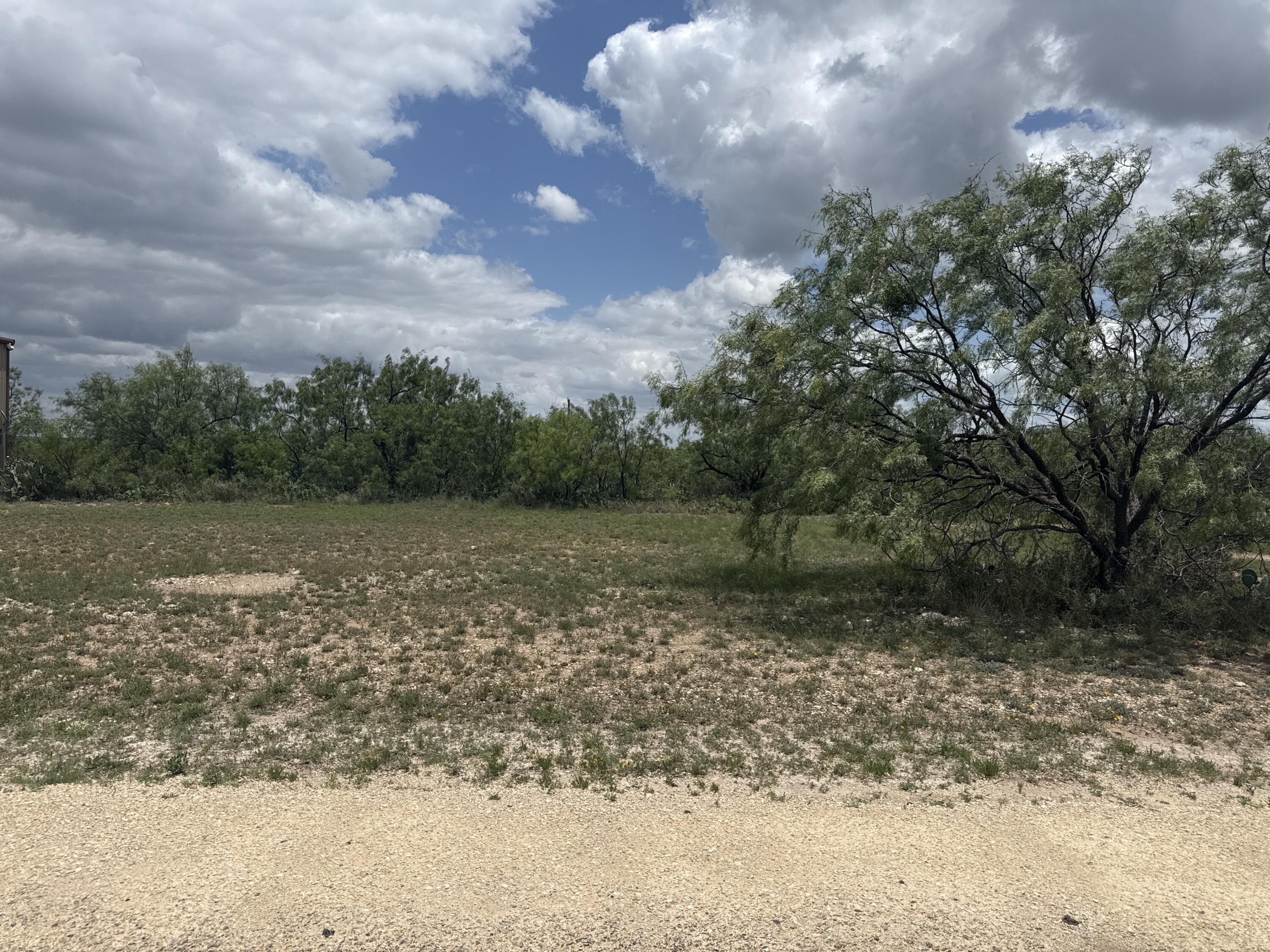 8216 Ducote Air Park Road Property Photo 1