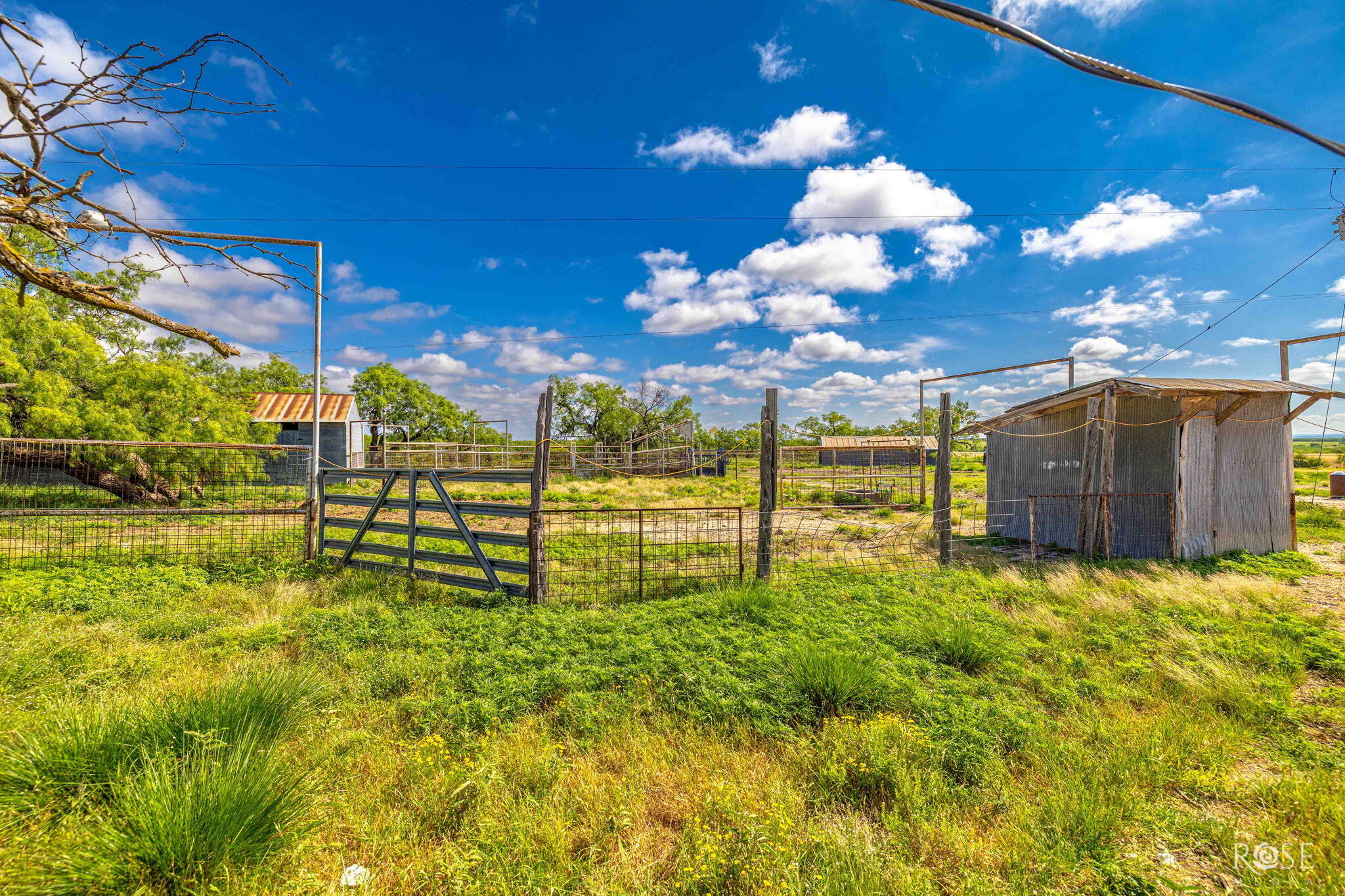 1302 County Road 459 Property Photo 29