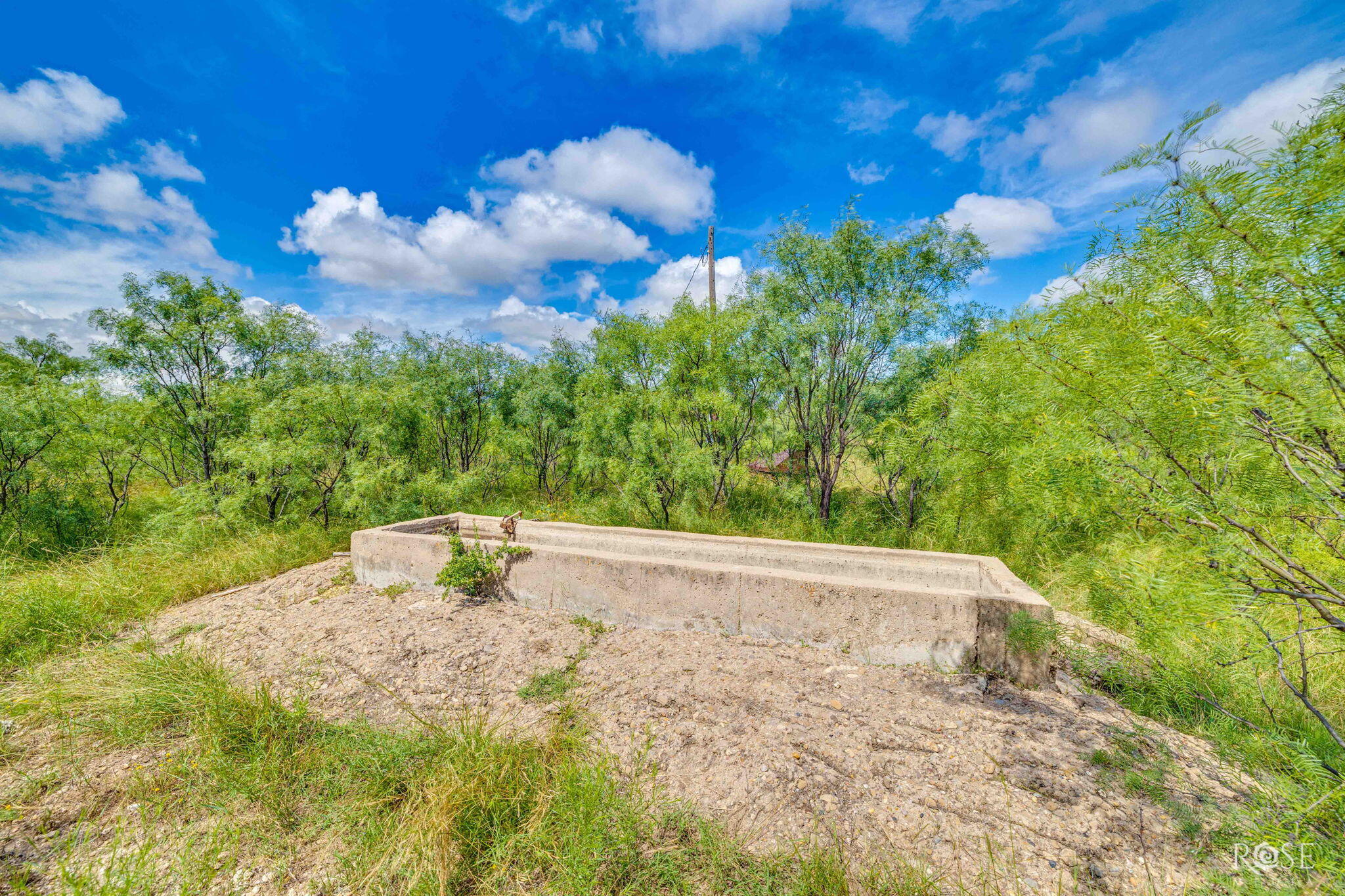 1302 County Road 459 Property Photo 57