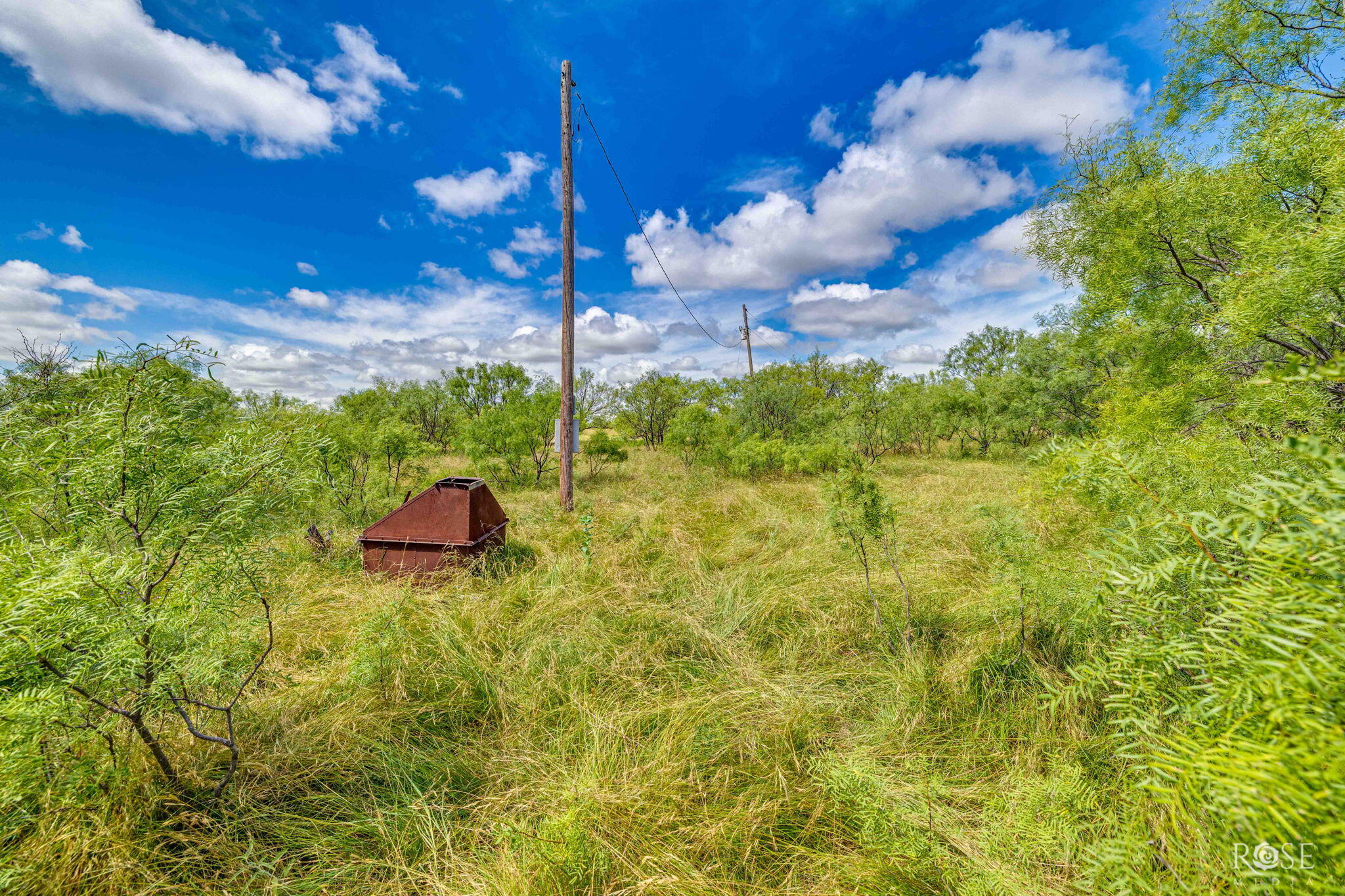 1302 County Road 459 Property Photo 58