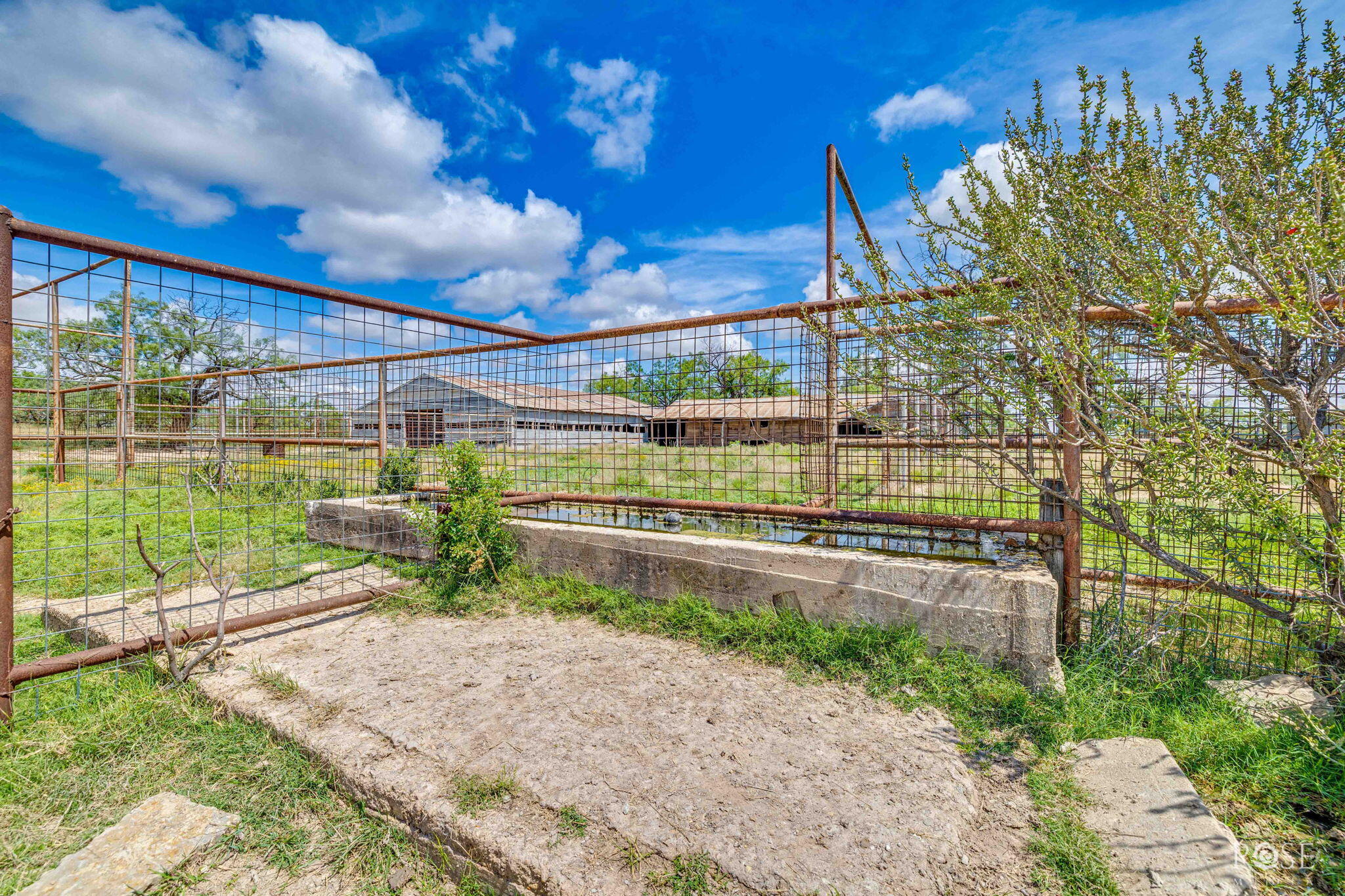 1302 County Road 459 Property Photo 61