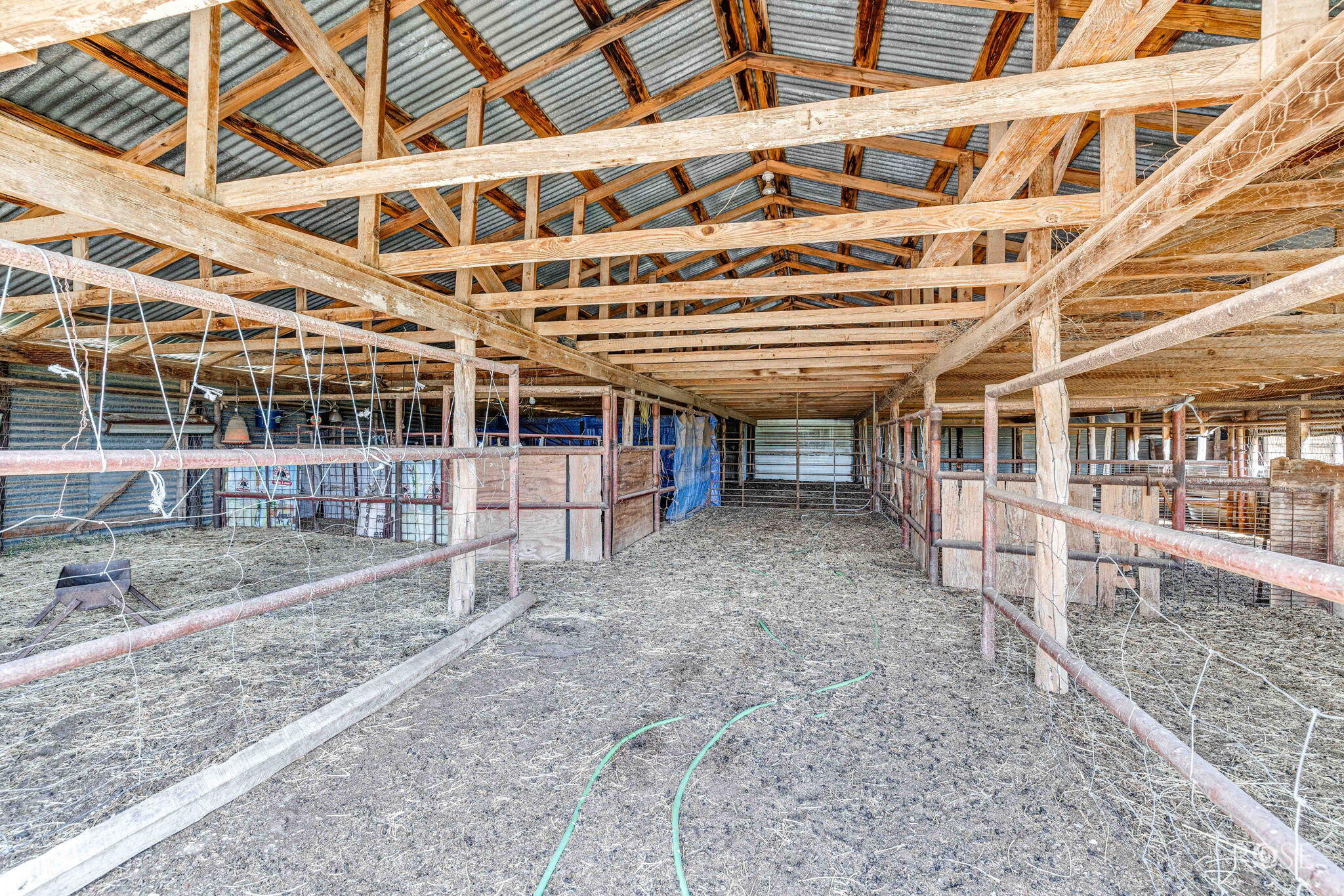 1302 County Road 459 Property Photo 63