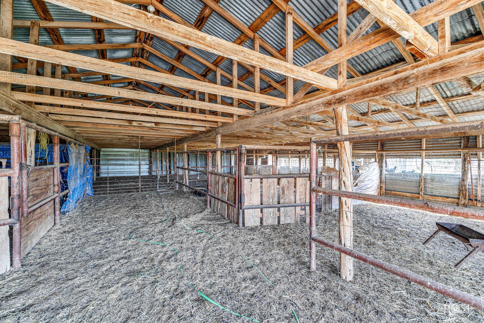 1302 County Road 459 Property Photo 64