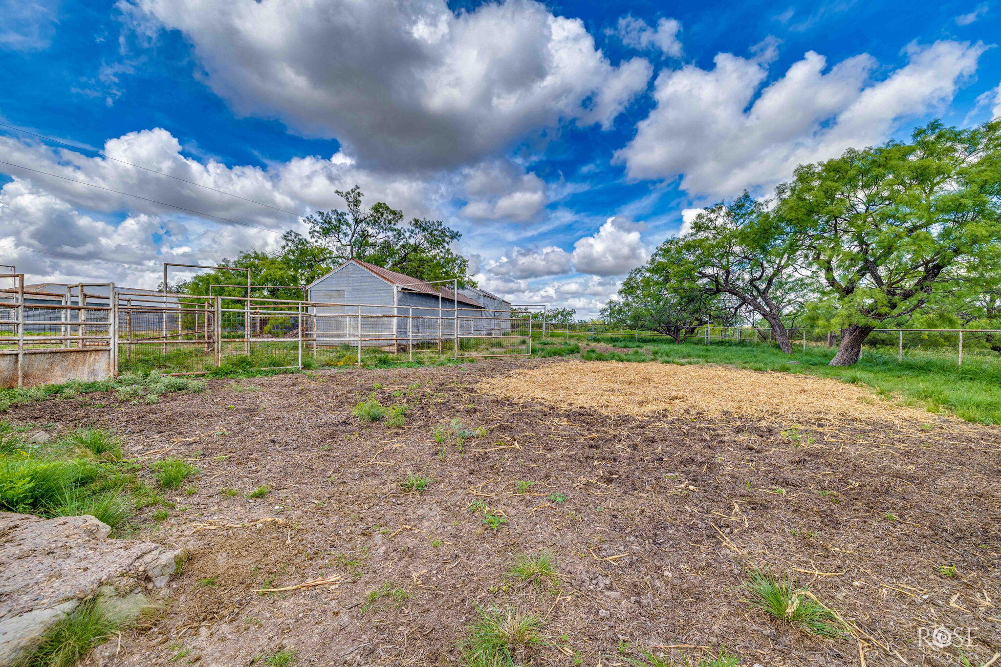 1302 County Road 459 Property Photo 67