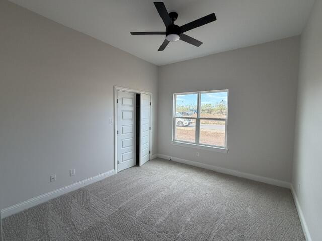 3843 Wildebeest Way Property Photo 15