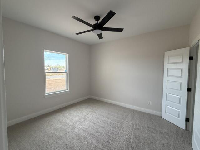 3843 Wildebeest Way Property Photo 16