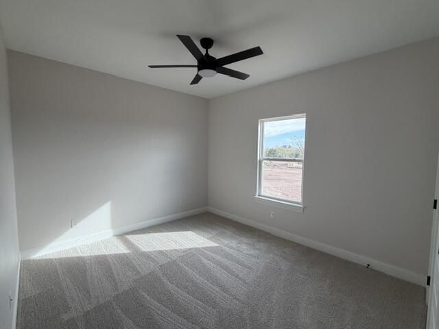 3843 Wildebeest Way Property Photo 19