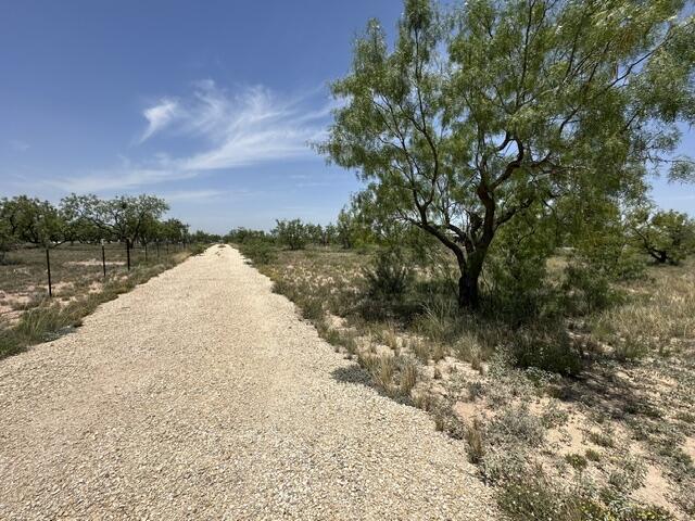 8660 Kna Drive Property Photo 1