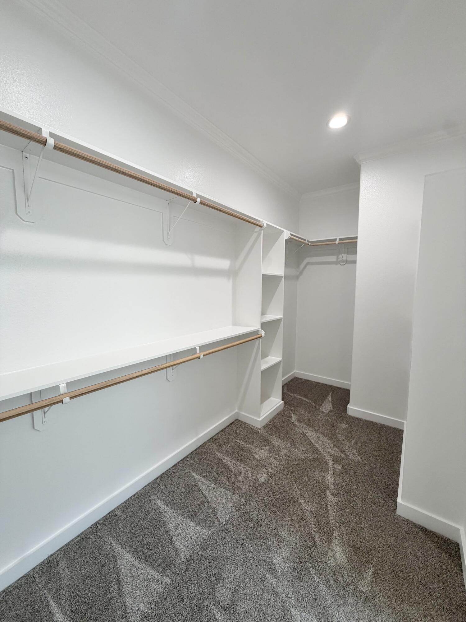 5042 Shefflera Drive Property Photo 21