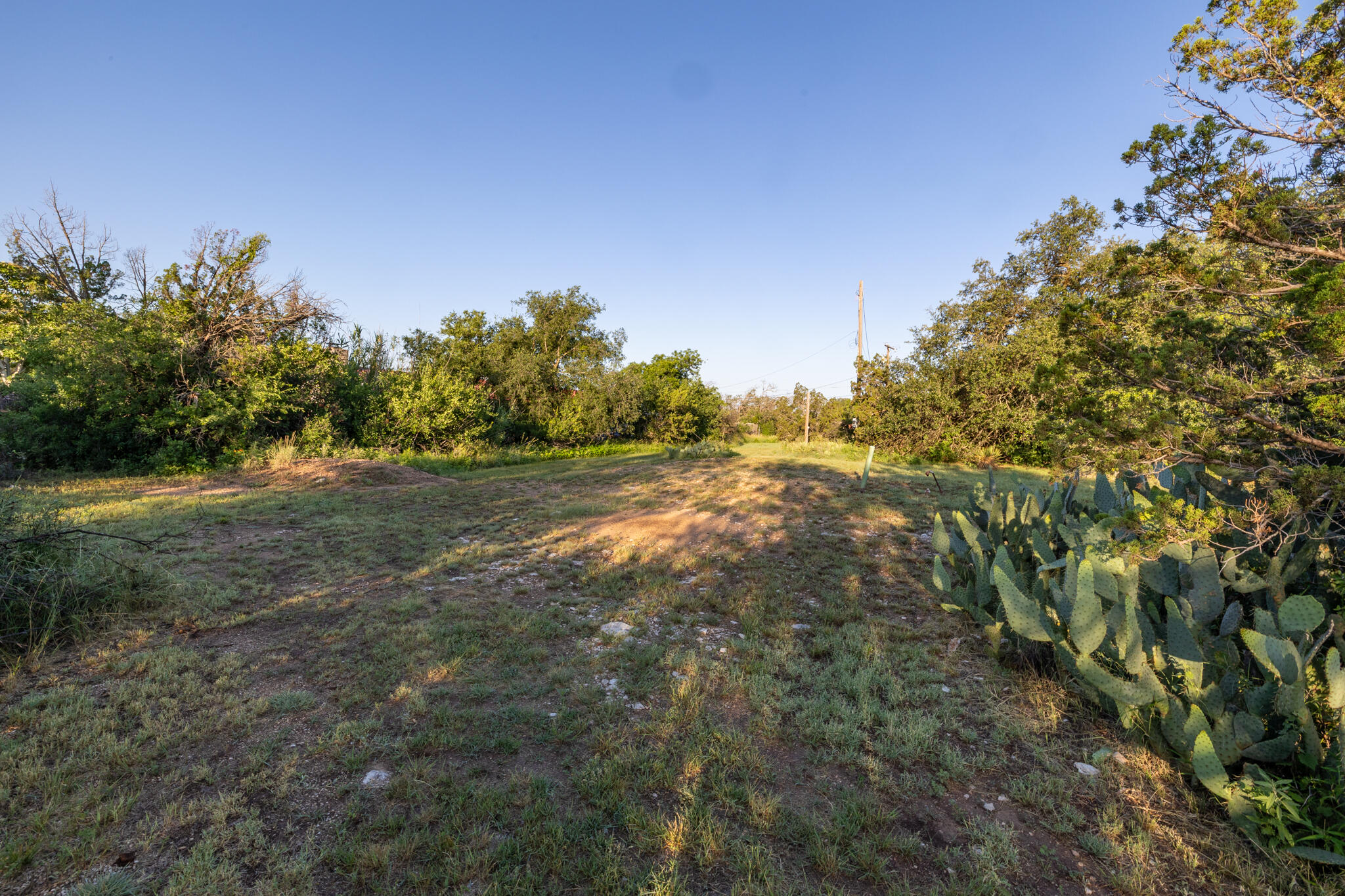 1208 Beall Street Property Photo 21