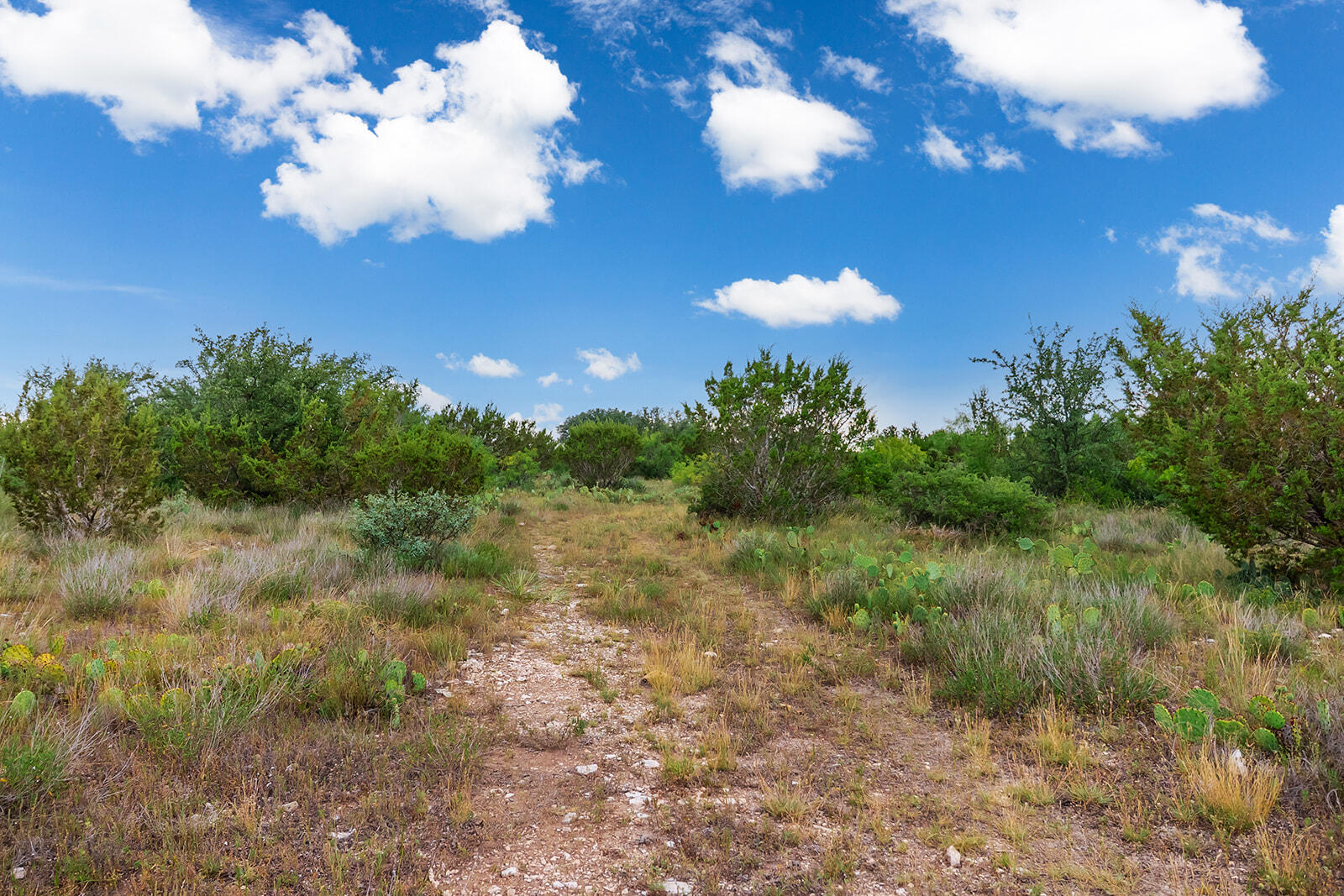 355 Bison Road Property Photo 5