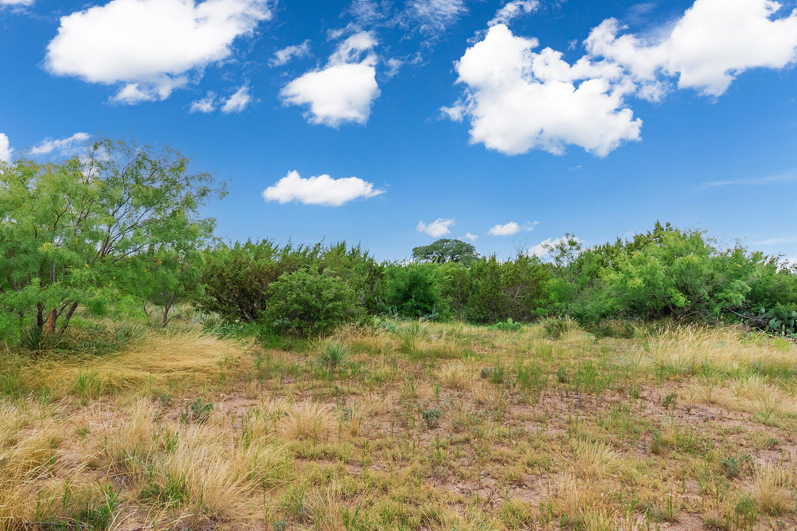 355 Bison Road Property Photo 7