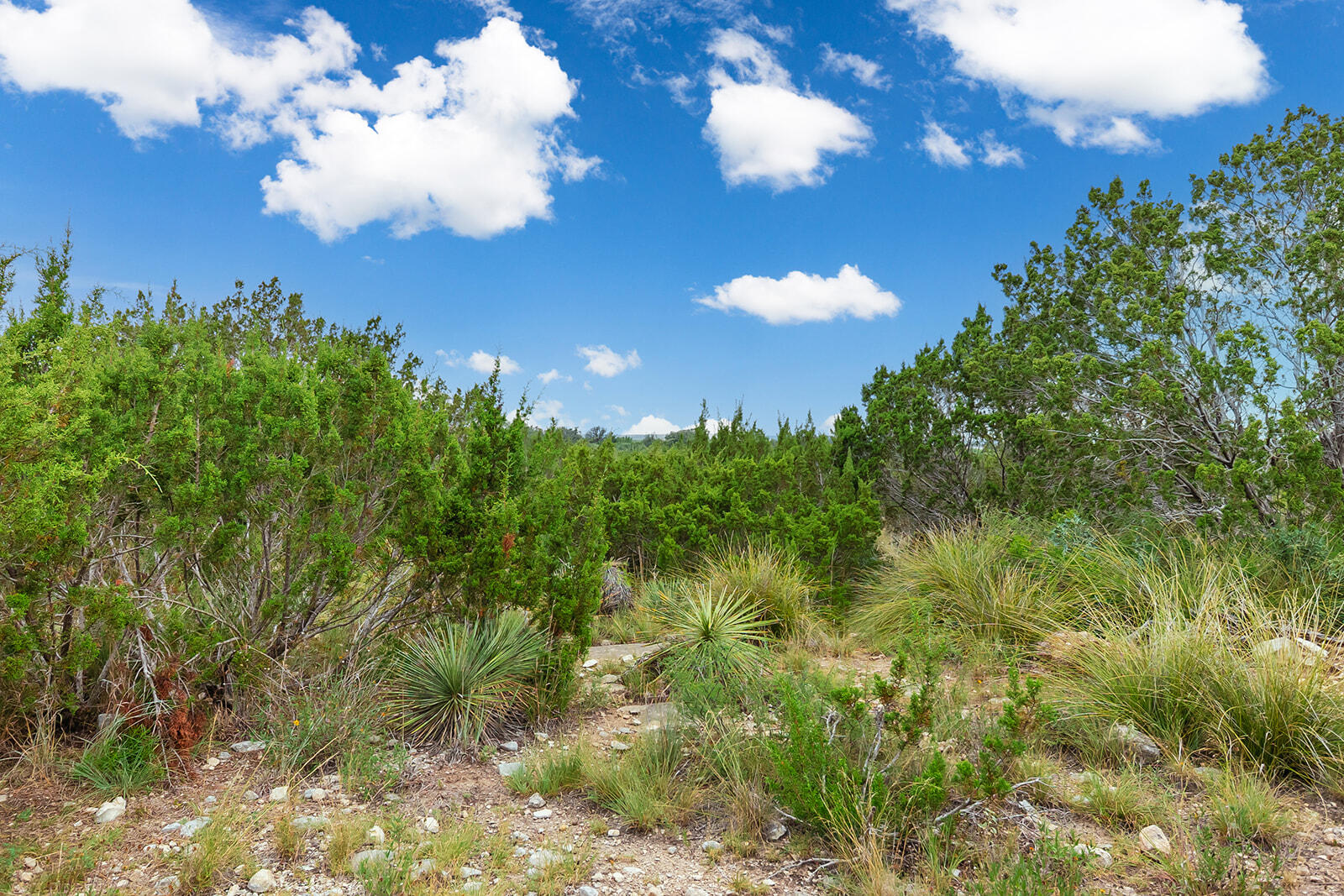 355 Bison Road Property Photo 11