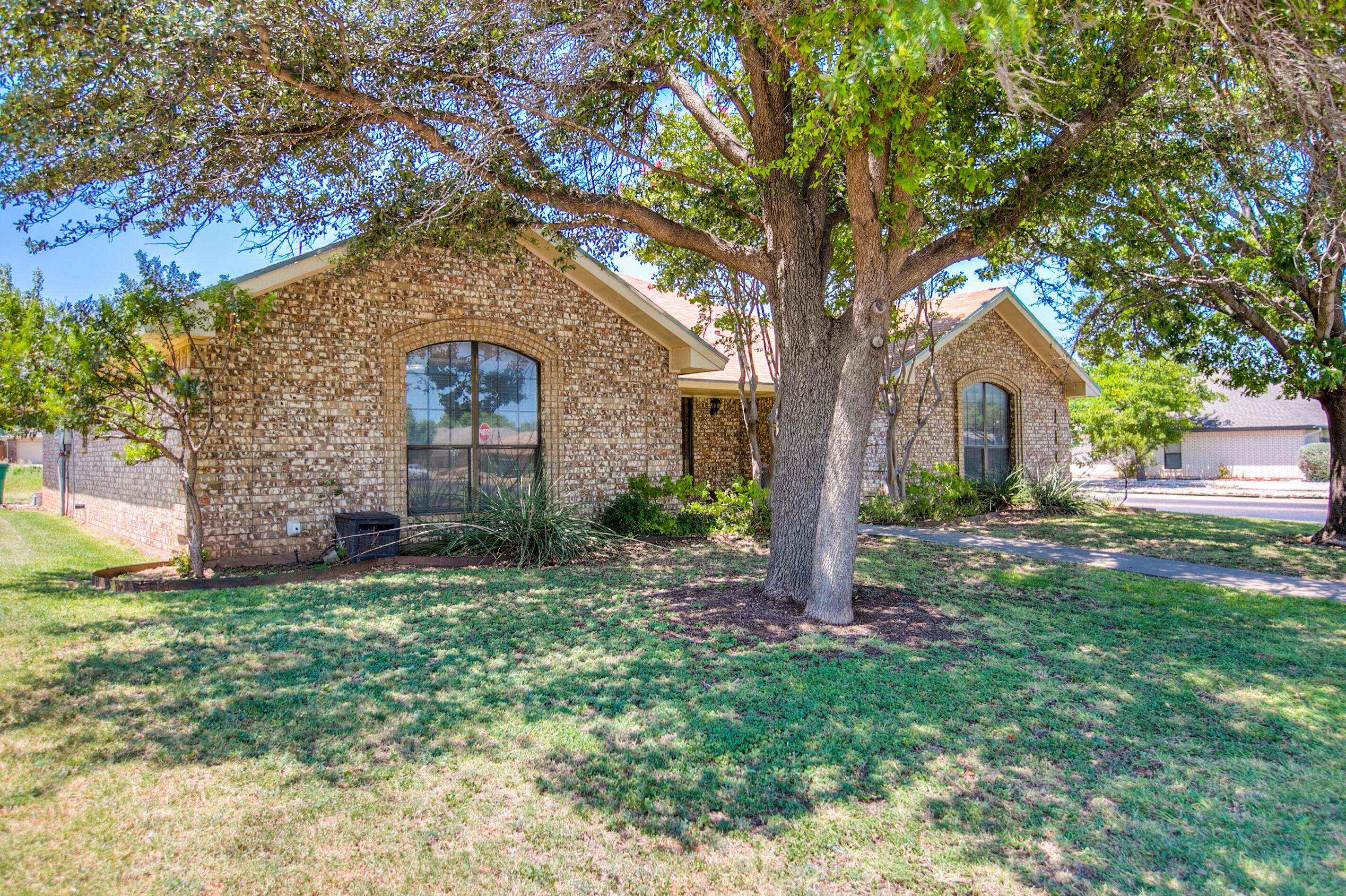 4201 Shefflera Drive Property Photo 4