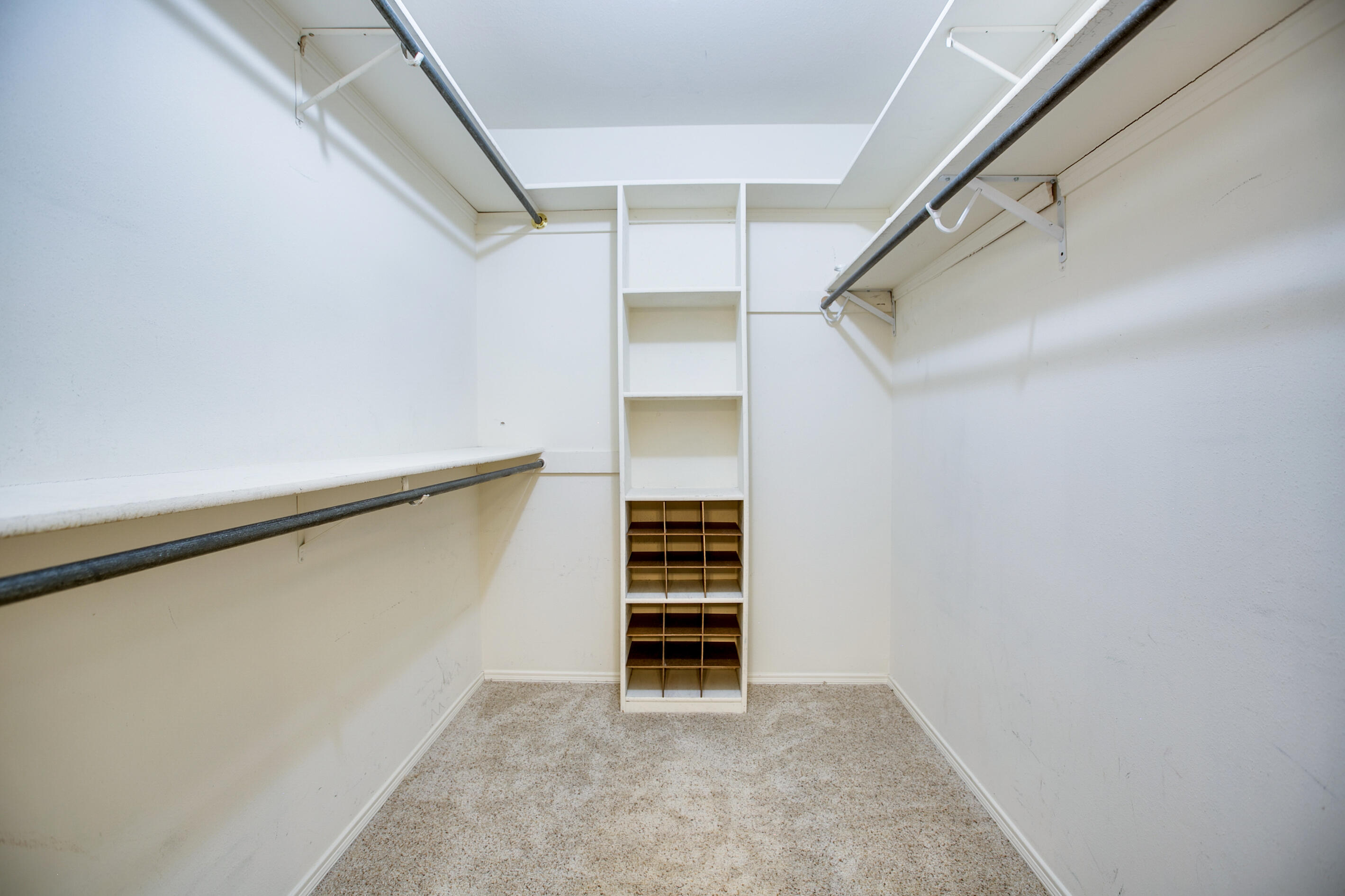 4201 Shefflera Drive Property Photo 20