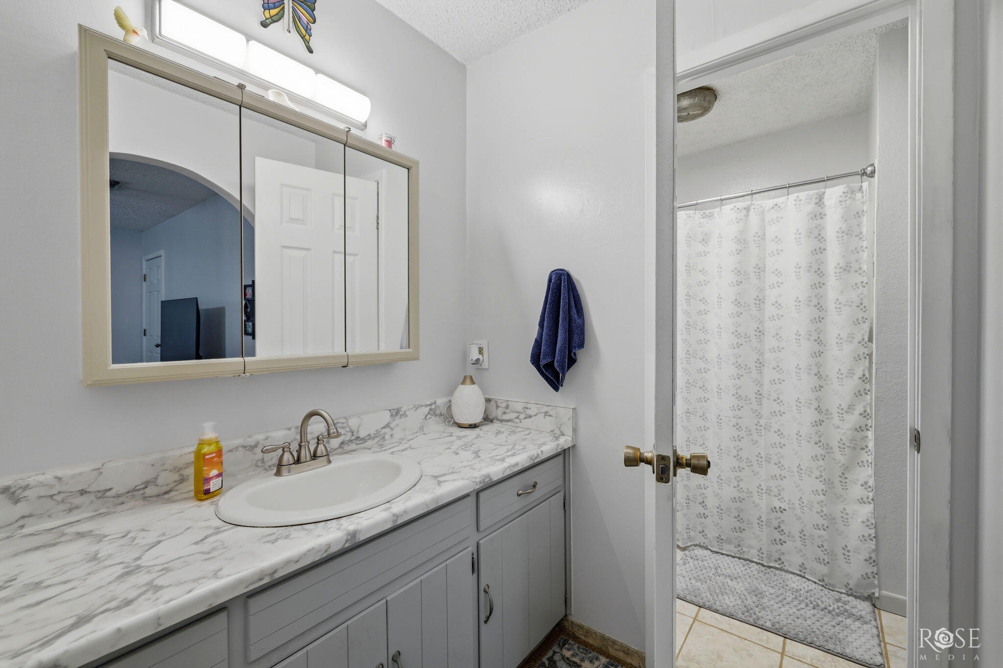 203 Tyler Terrace Drive Property Photo 15