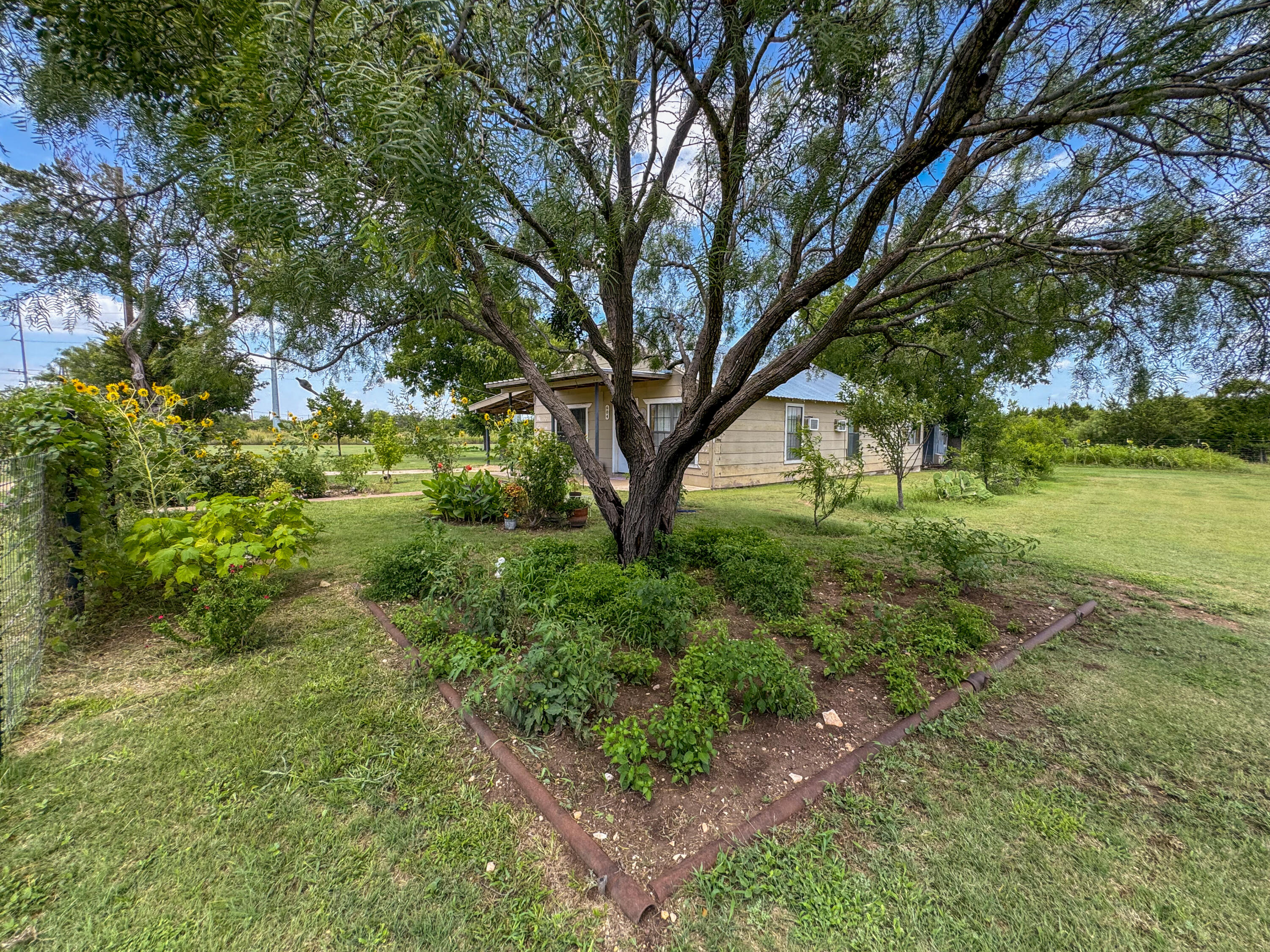 604 Hall Street Property Photo 5