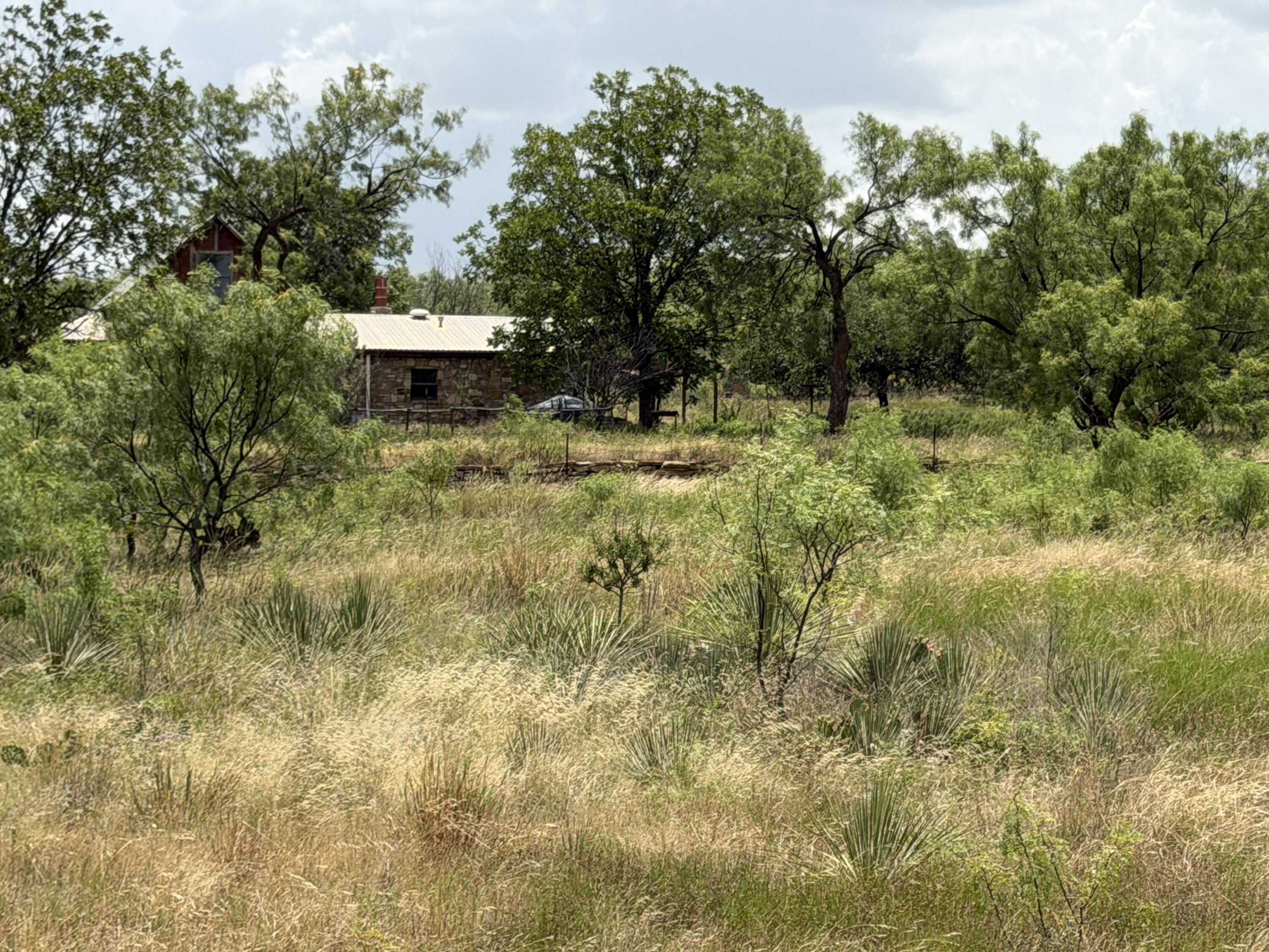 502 County Road 414 Property Photo 22