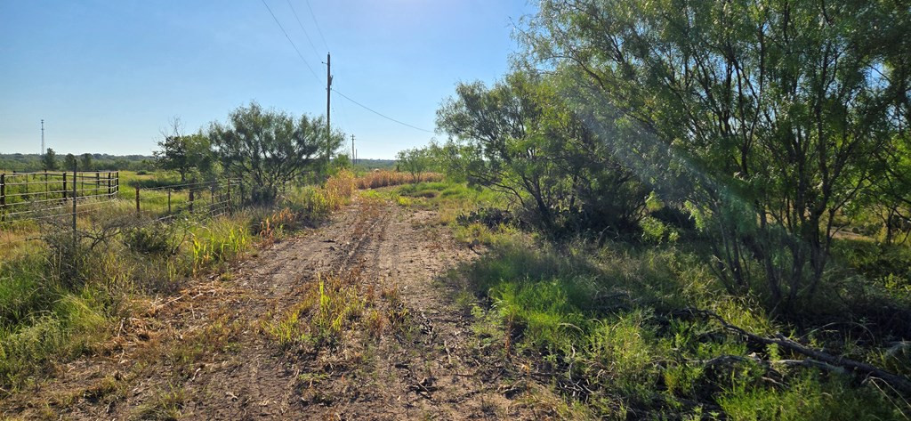11976 Tate Road Property Photo 1