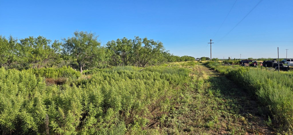 11976 Tate Road Property Photo 8