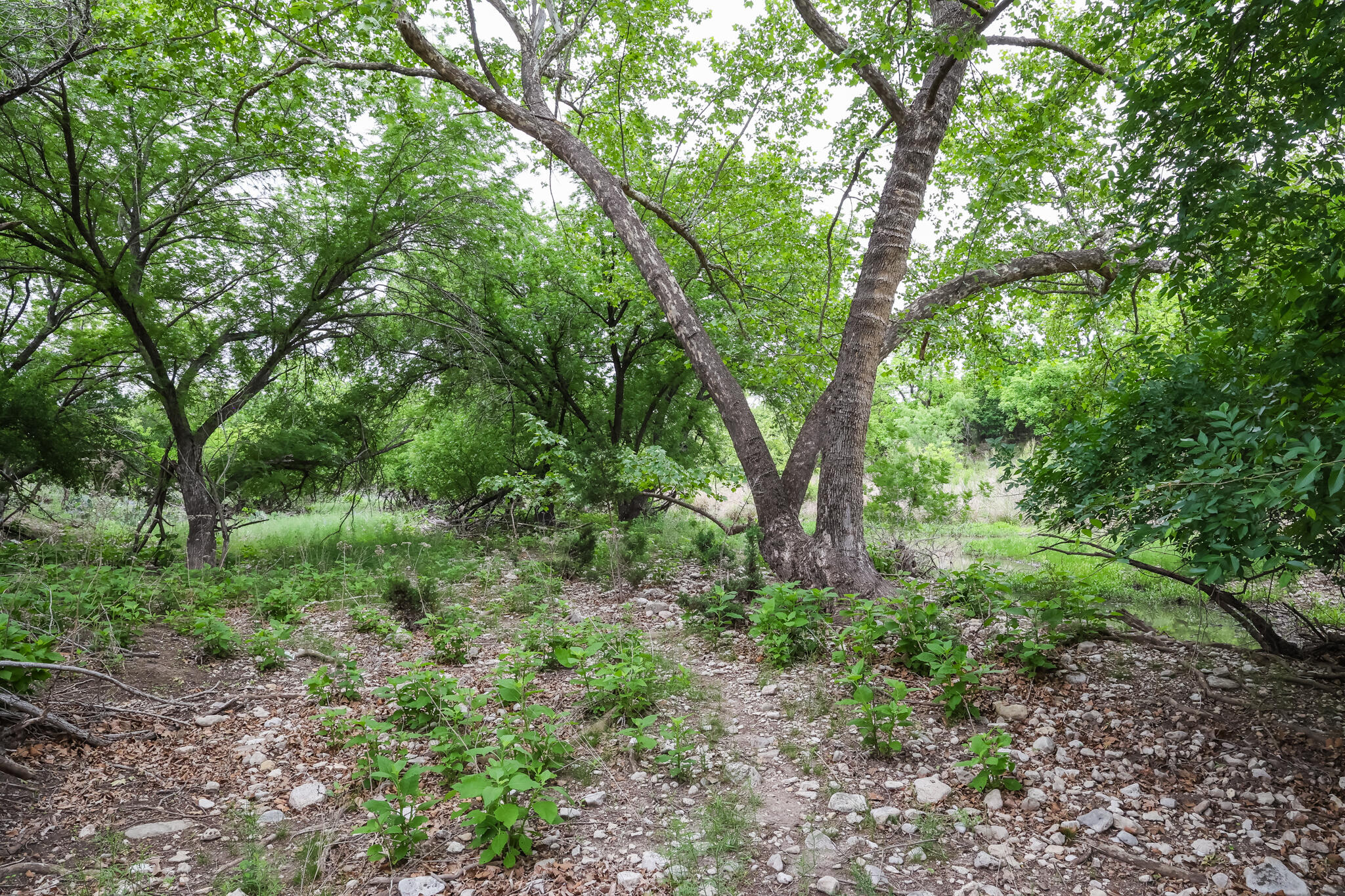 669 Private Road 3523 Property Photo 6
