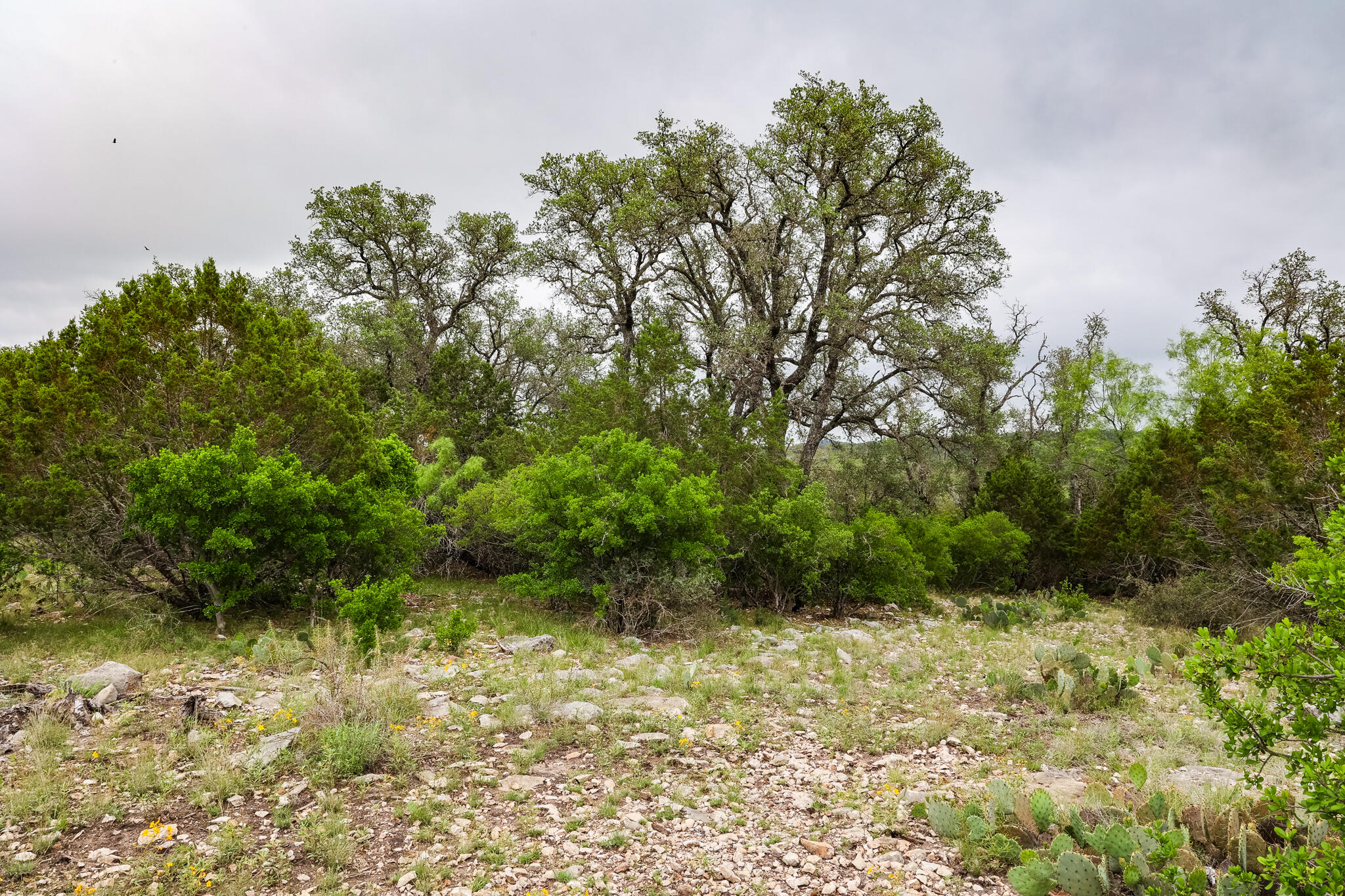 669 Private Road 3523 Property Photo 8
